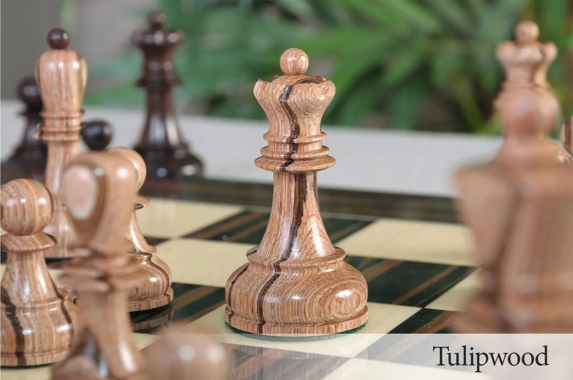 Tulipwood and Indian Rosewood - Image 8