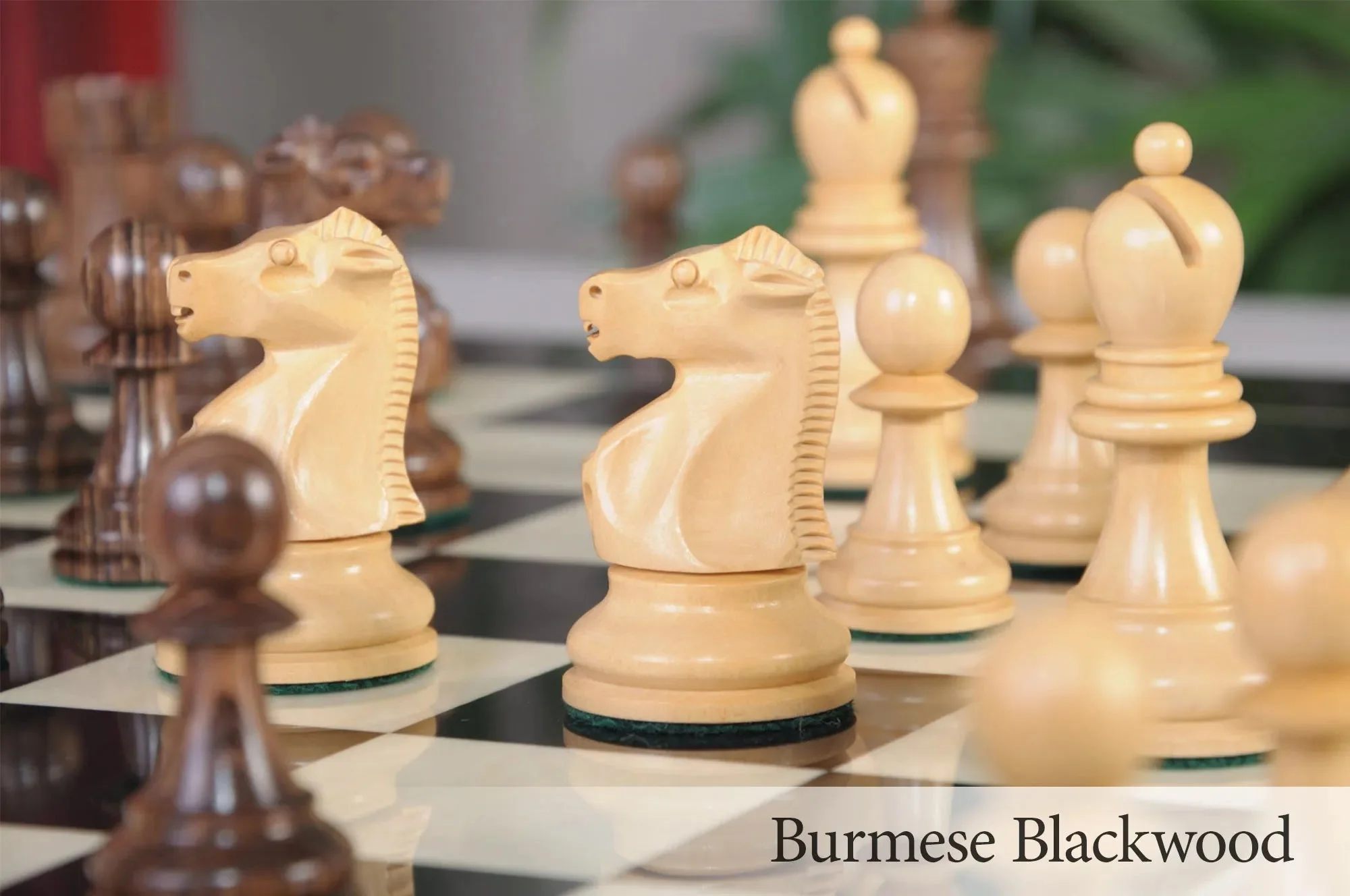 Burmese Blackwood and Natural Boxwood - Image 5