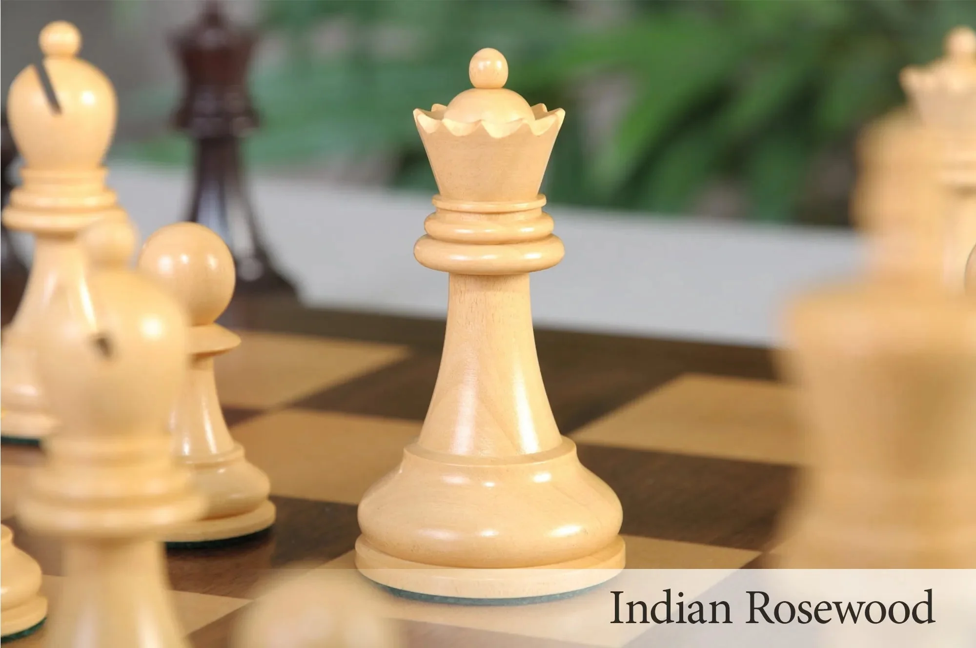 Indian Rosewood and Natural Boxwood - Image 7
