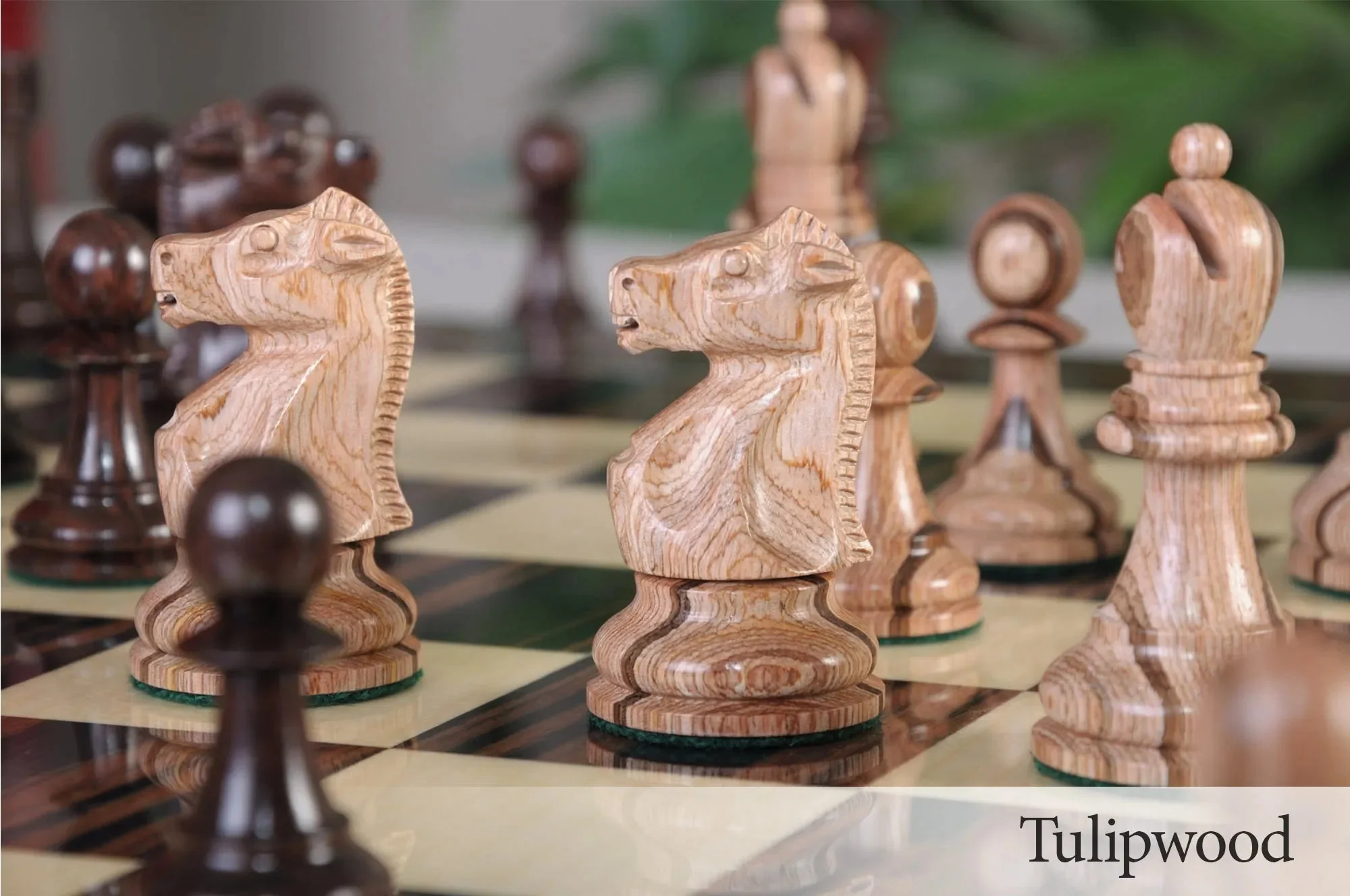 Tulipwood and Indian Rosewood - Image 4