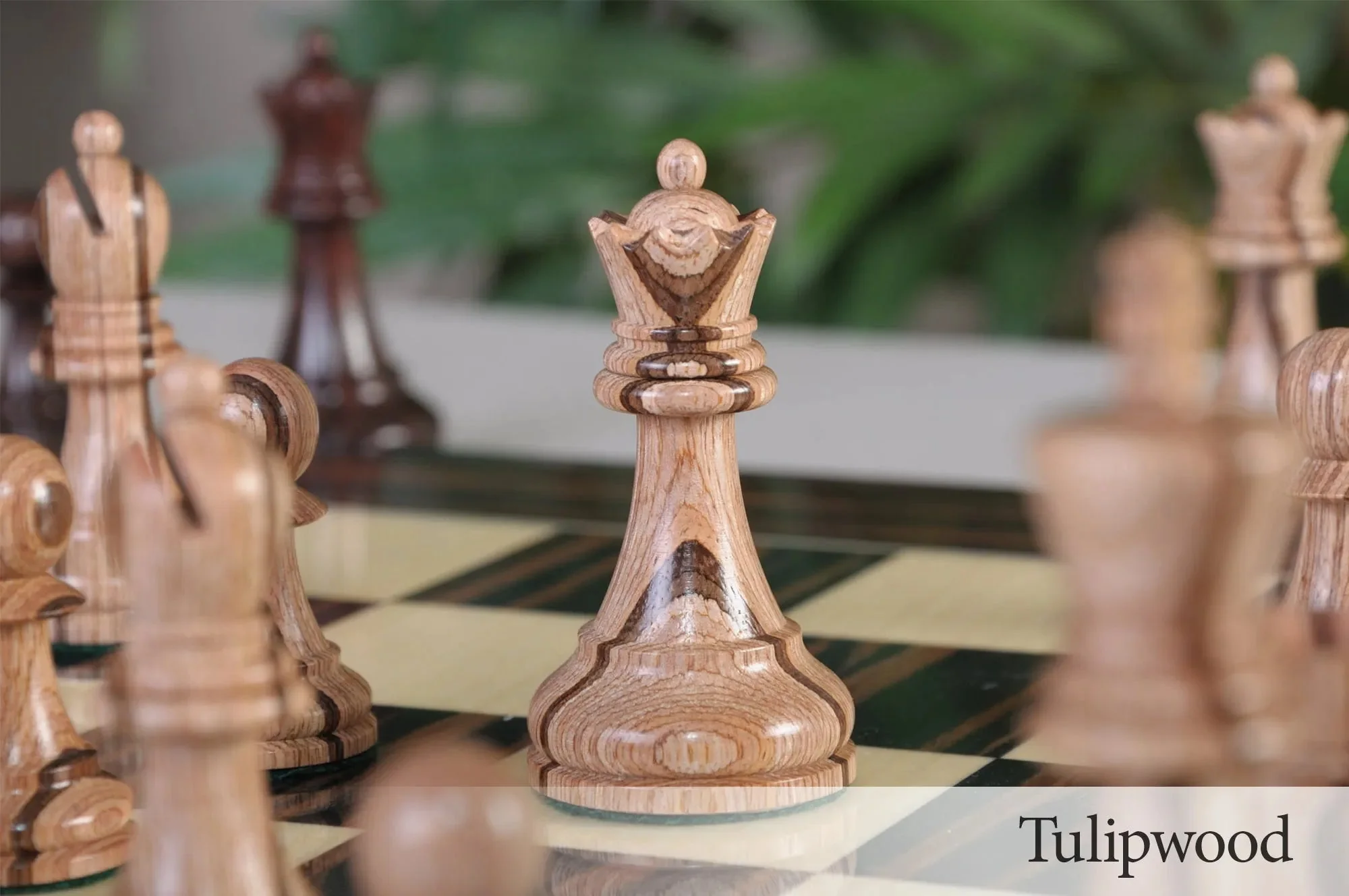 Tulipwood and Indian Rosewood - Image 7
