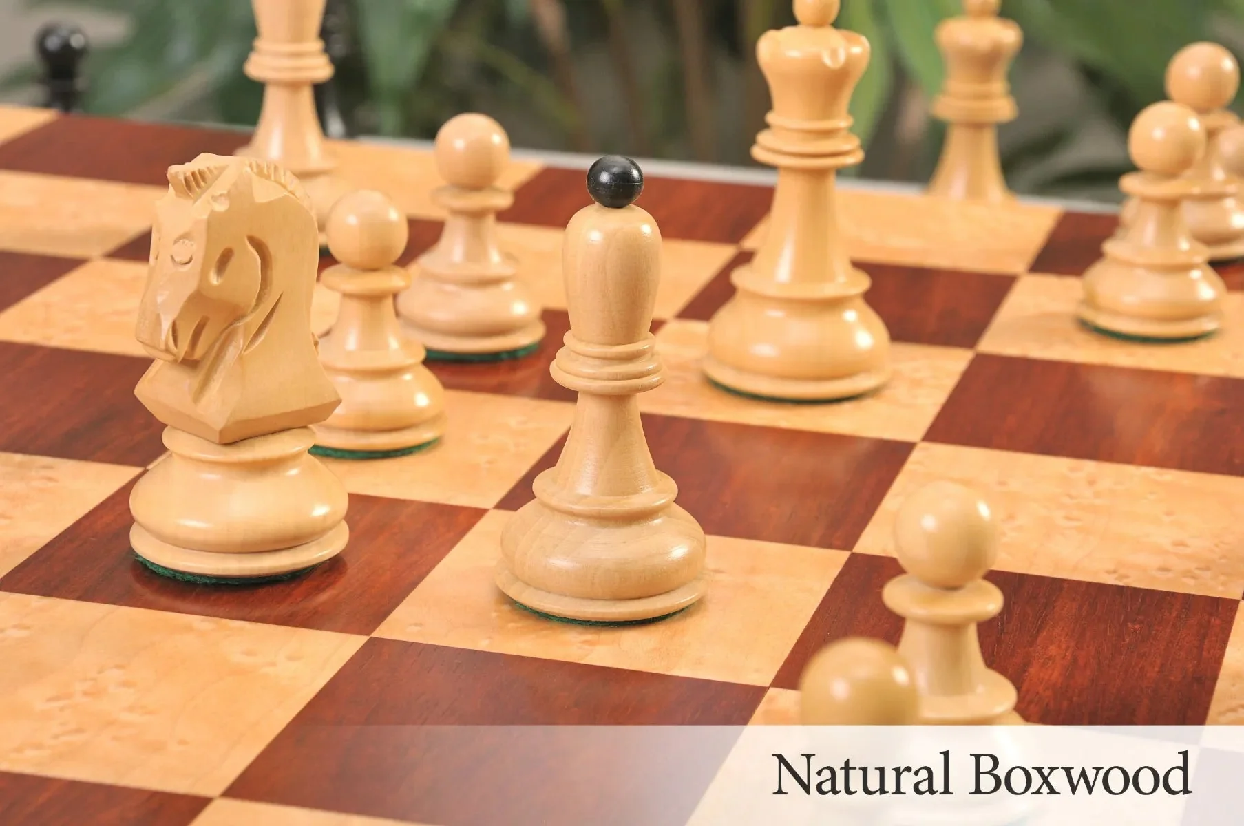Ebonized Boxwood and Natural Boxwood - Image 7