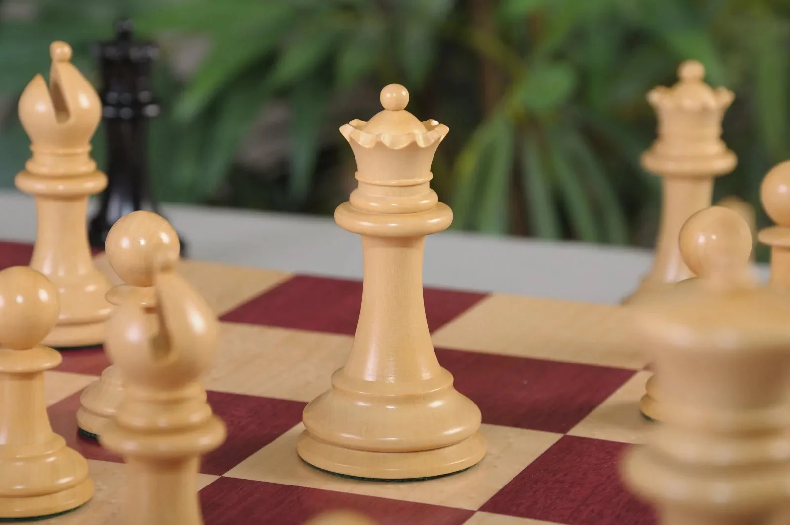 The Camaratta Collection - The 1850 Morphy Series Chess Pieces - 4.4" King - Image 3