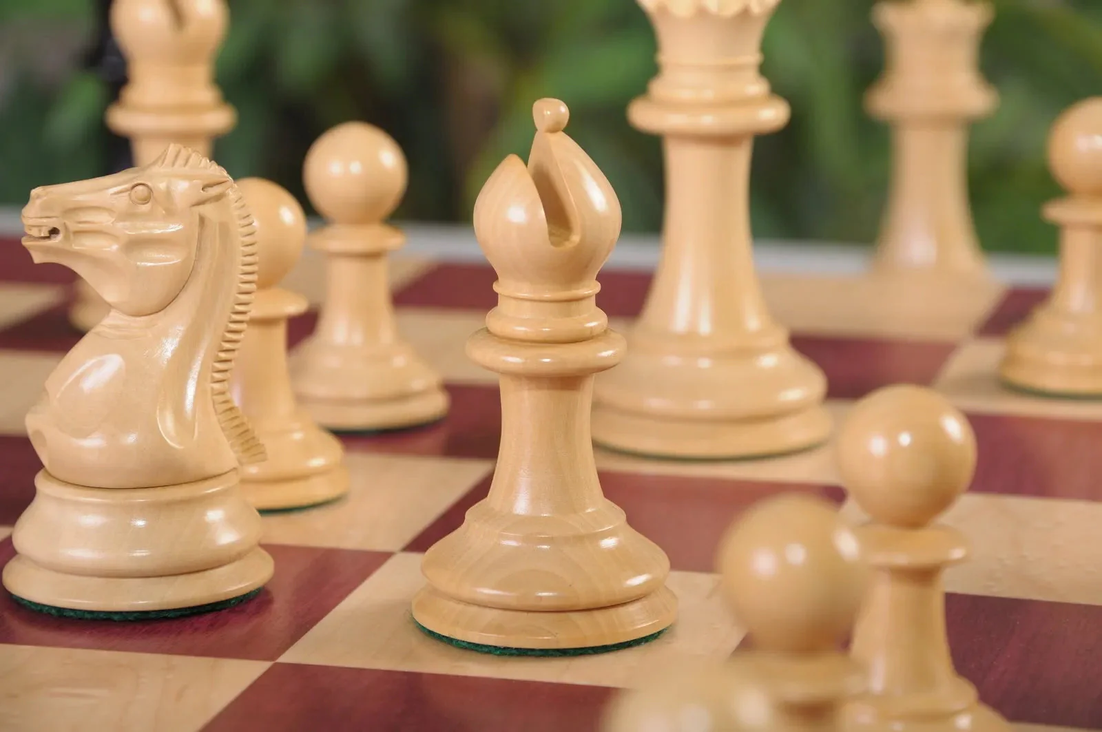 The Camaratta Collection - The 1850 Morphy Series Chess Pieces - 4.4" King - Image 5
