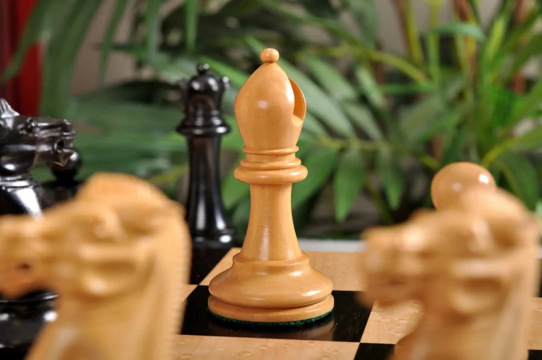 Genuine Ebony and Natural Boxwood - Image 5