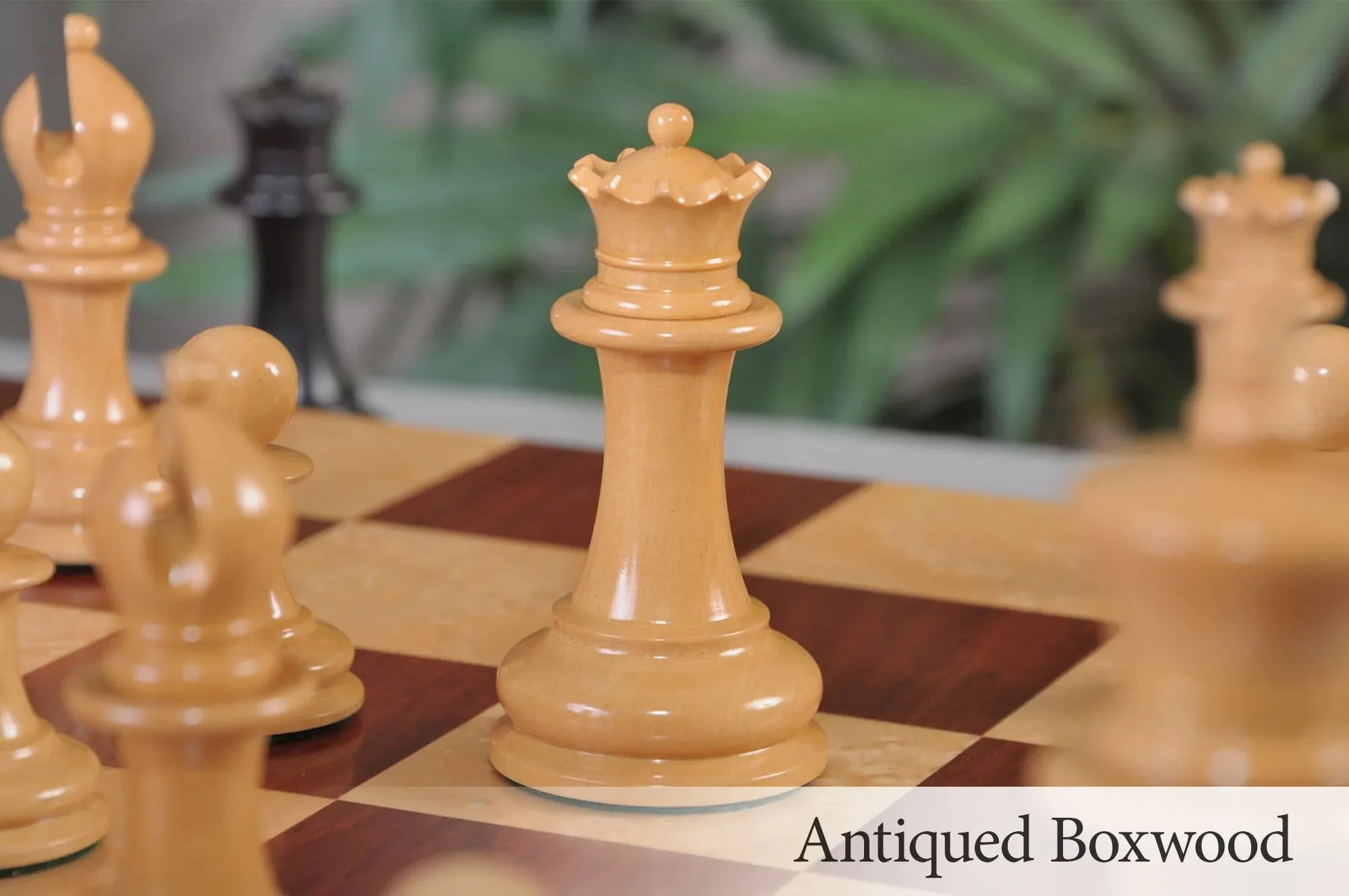 Ebonized Boxwood and Antiqued Boxwood - Image 15