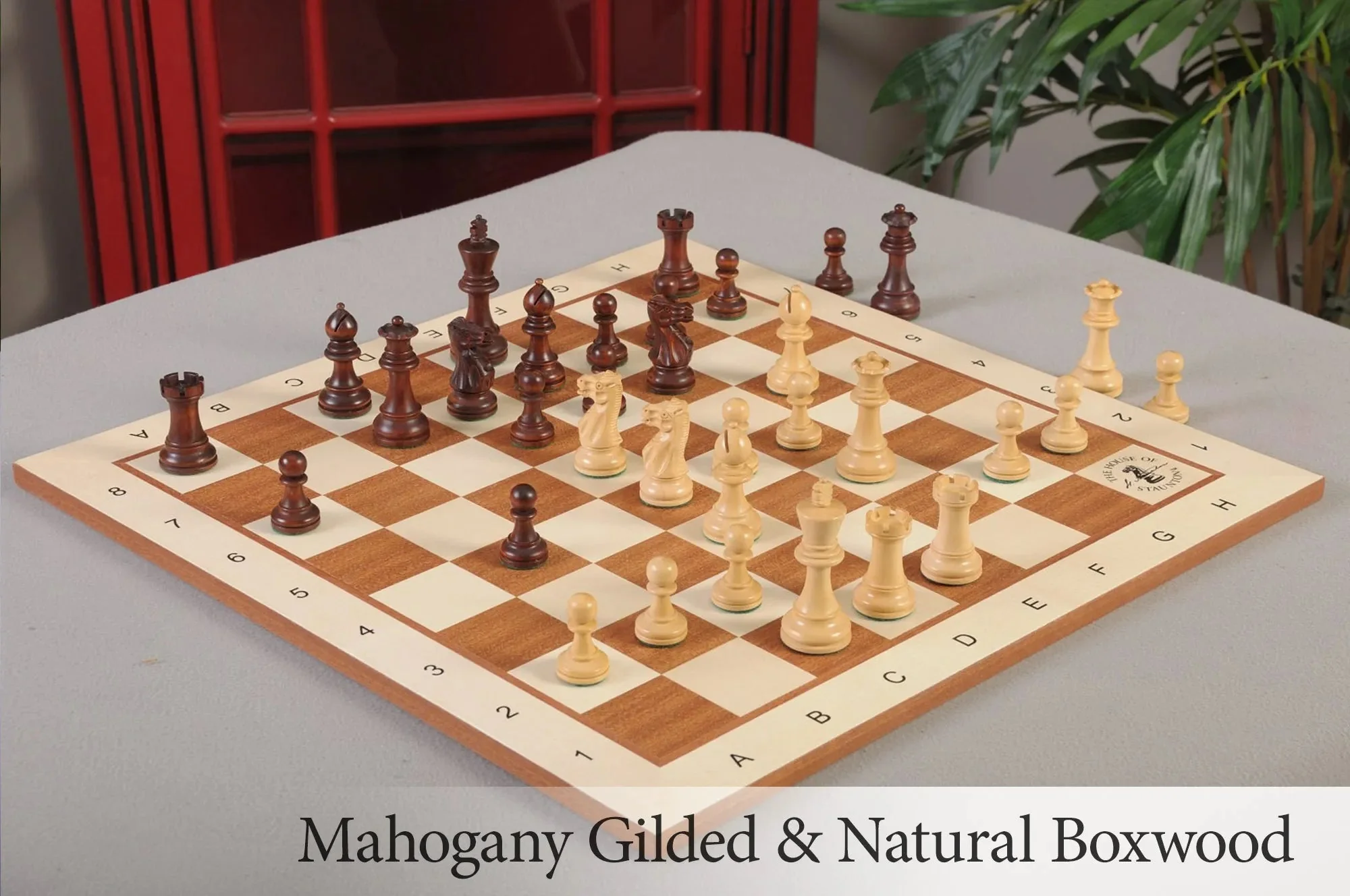Mahogany Gilded and Natural Boxwood - Image 4