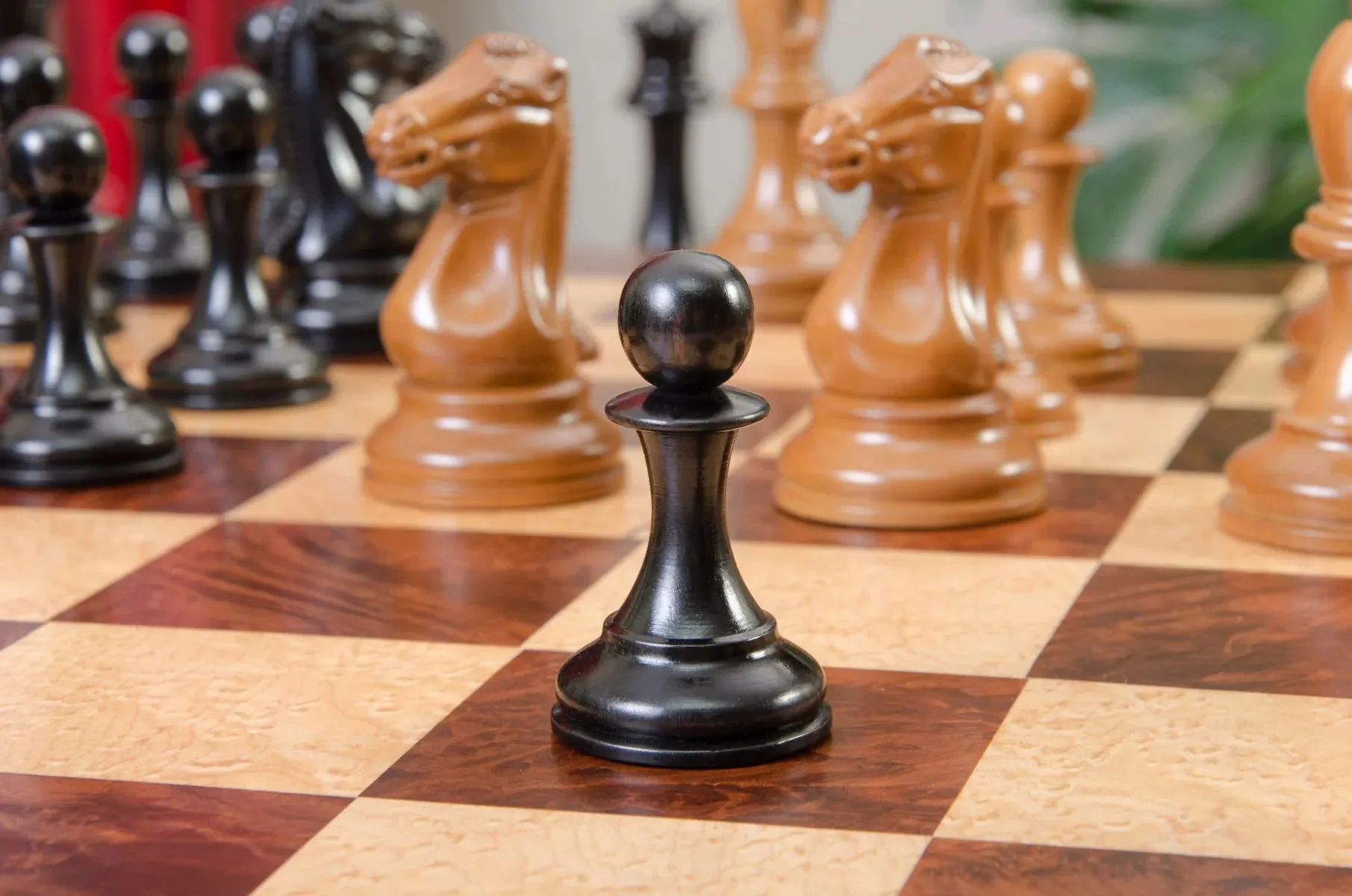 The Golden Collector Series Luxury Chess Pieces - 4.4" King - Image 24