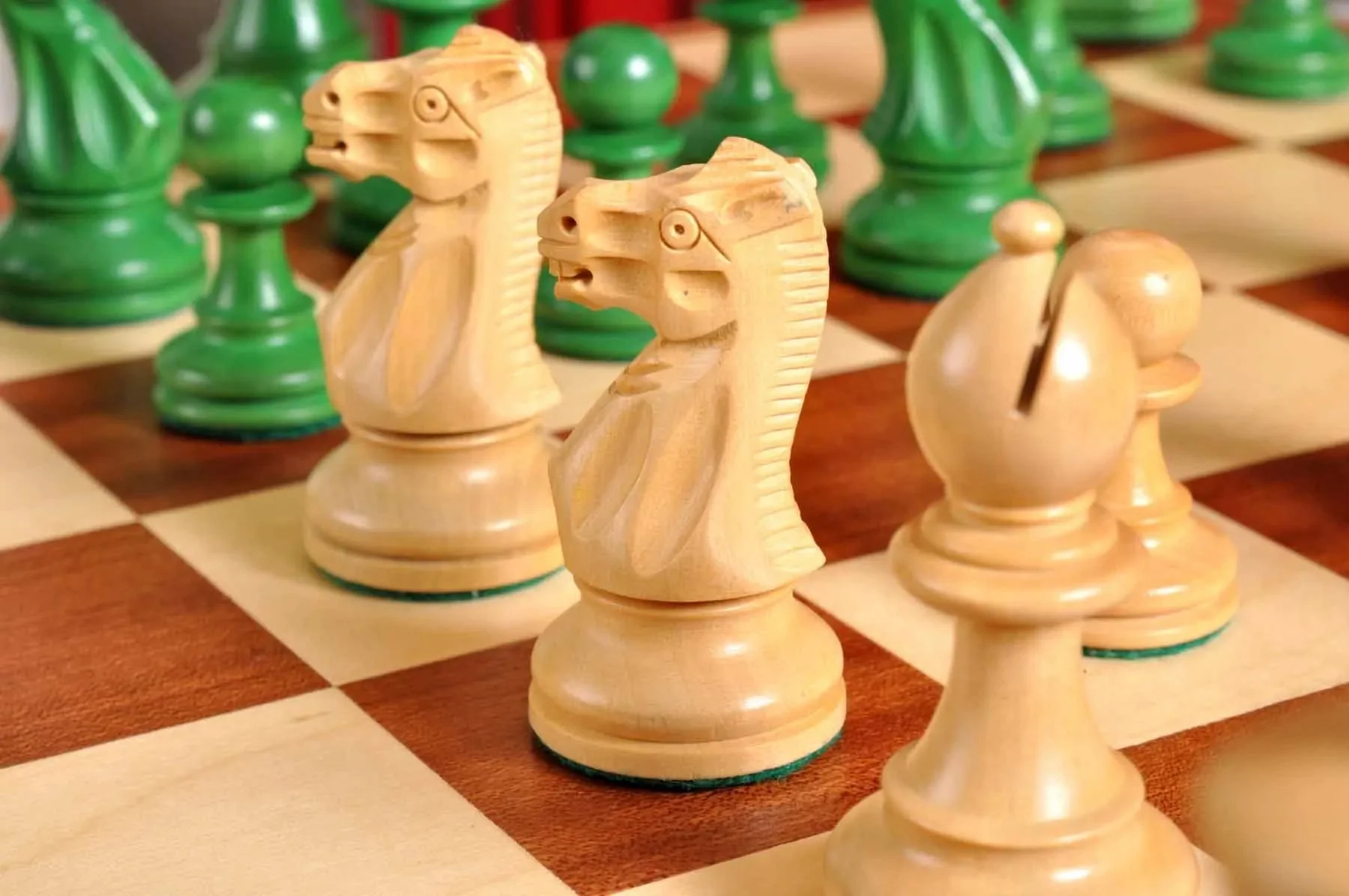 Green Gilded and Natural Boxwood - Image 5