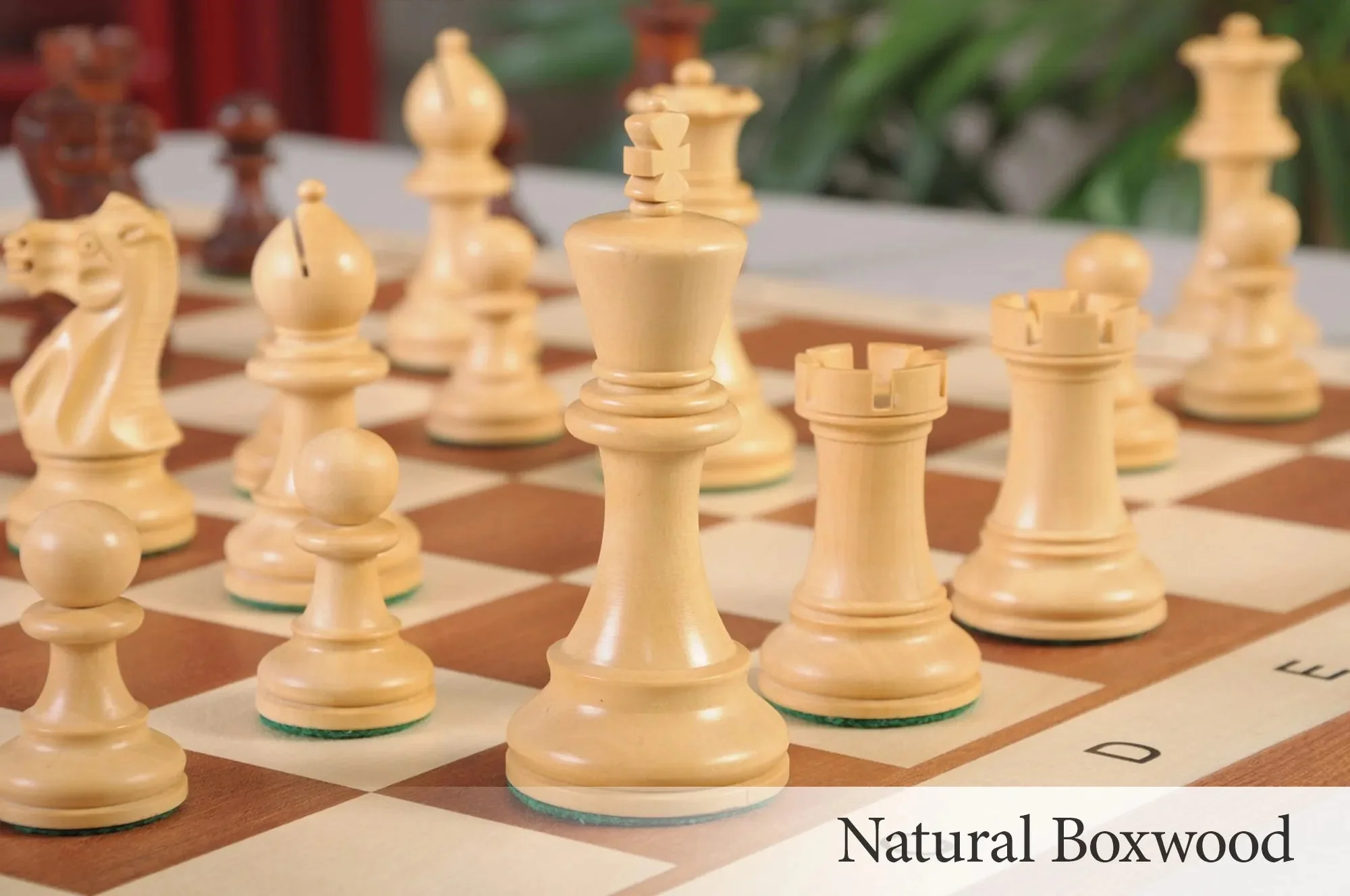 Mahogany Gilded and Natural Boxwood - Image 7
