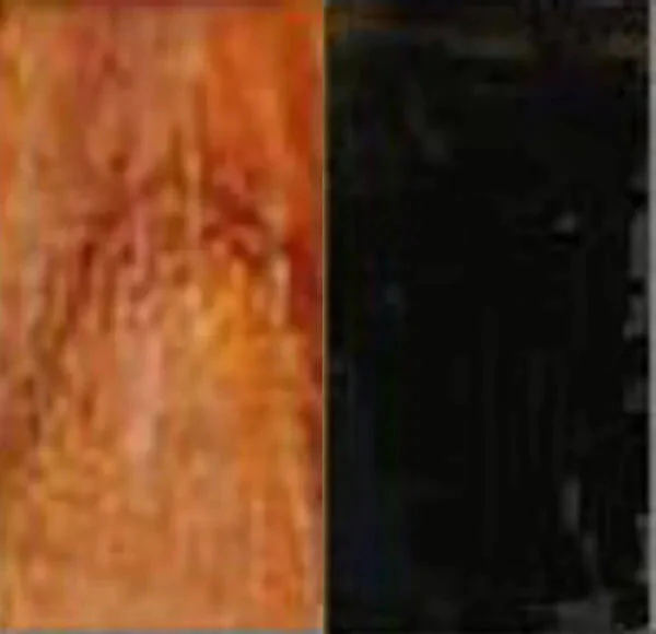Golden Rosewood and Ebonized Boxwood - Image 2