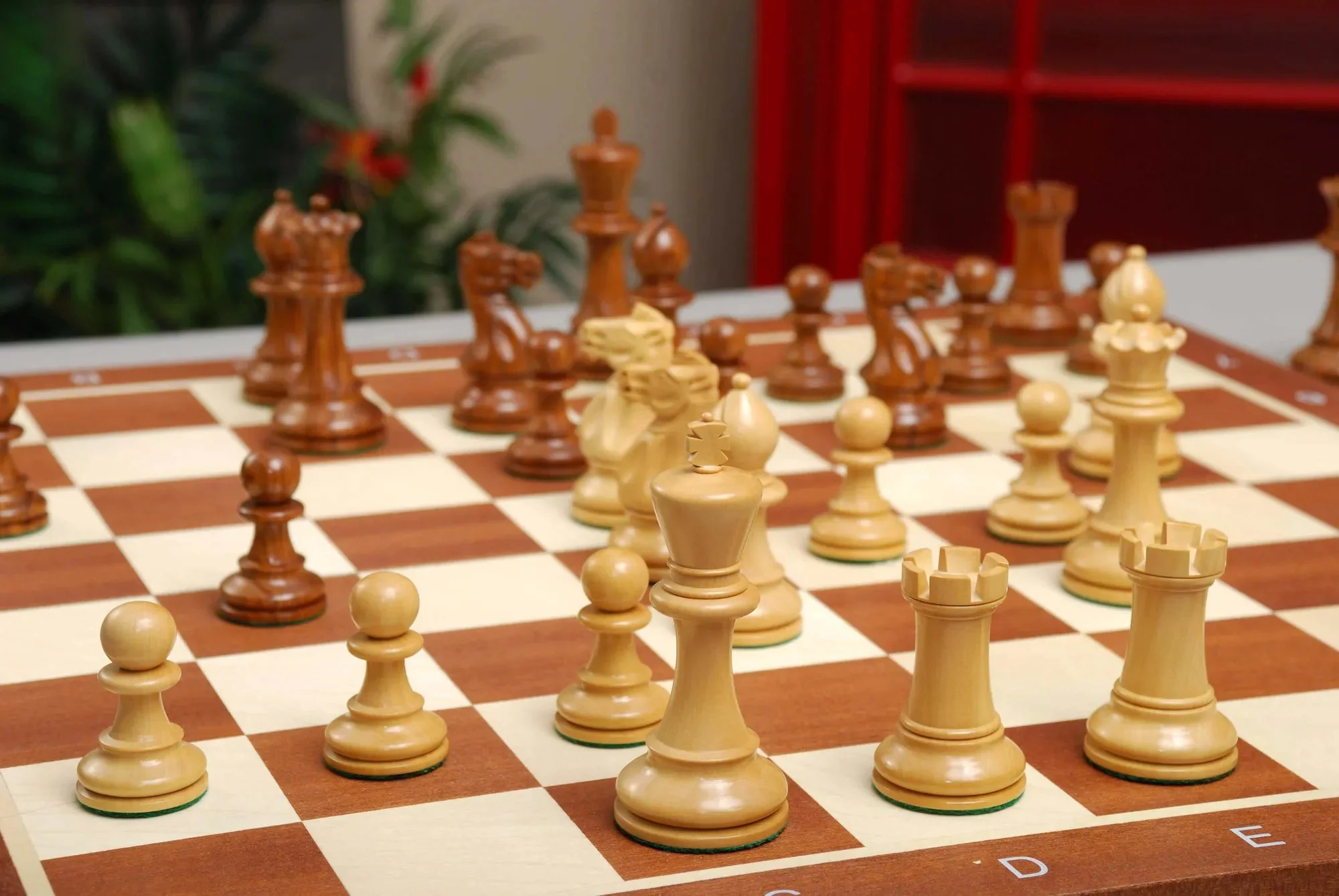 Golden Rosewood and Natural Boxwood - Image 7