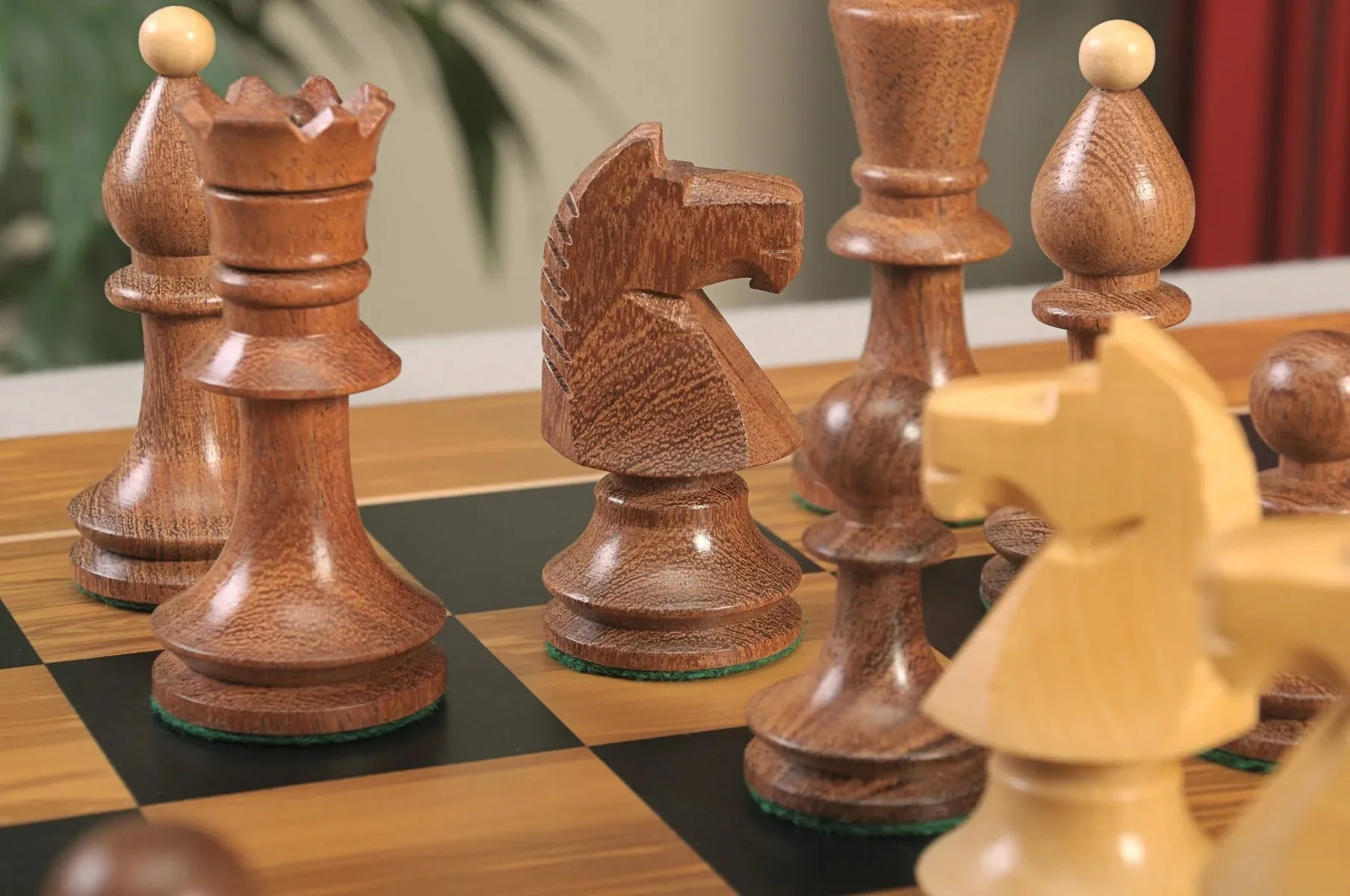 Golden Rosewood and Natural Boxwood - Image 6