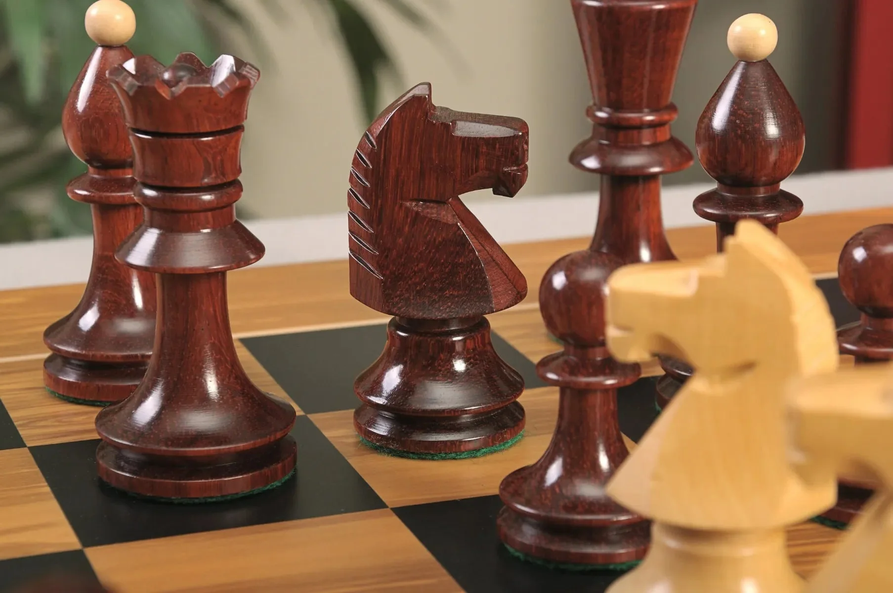 Blood Rosewood and Natural Boxwood - Image 11