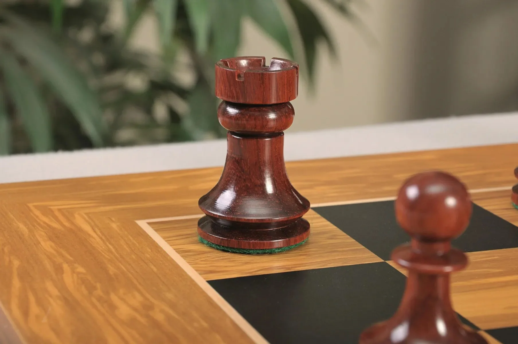 Blood Rosewood and Natural Boxwood - Image 12