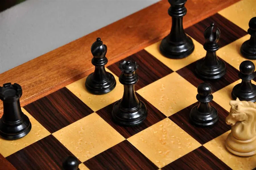 Genuine Ebony and Natural Boxwood - Image 9