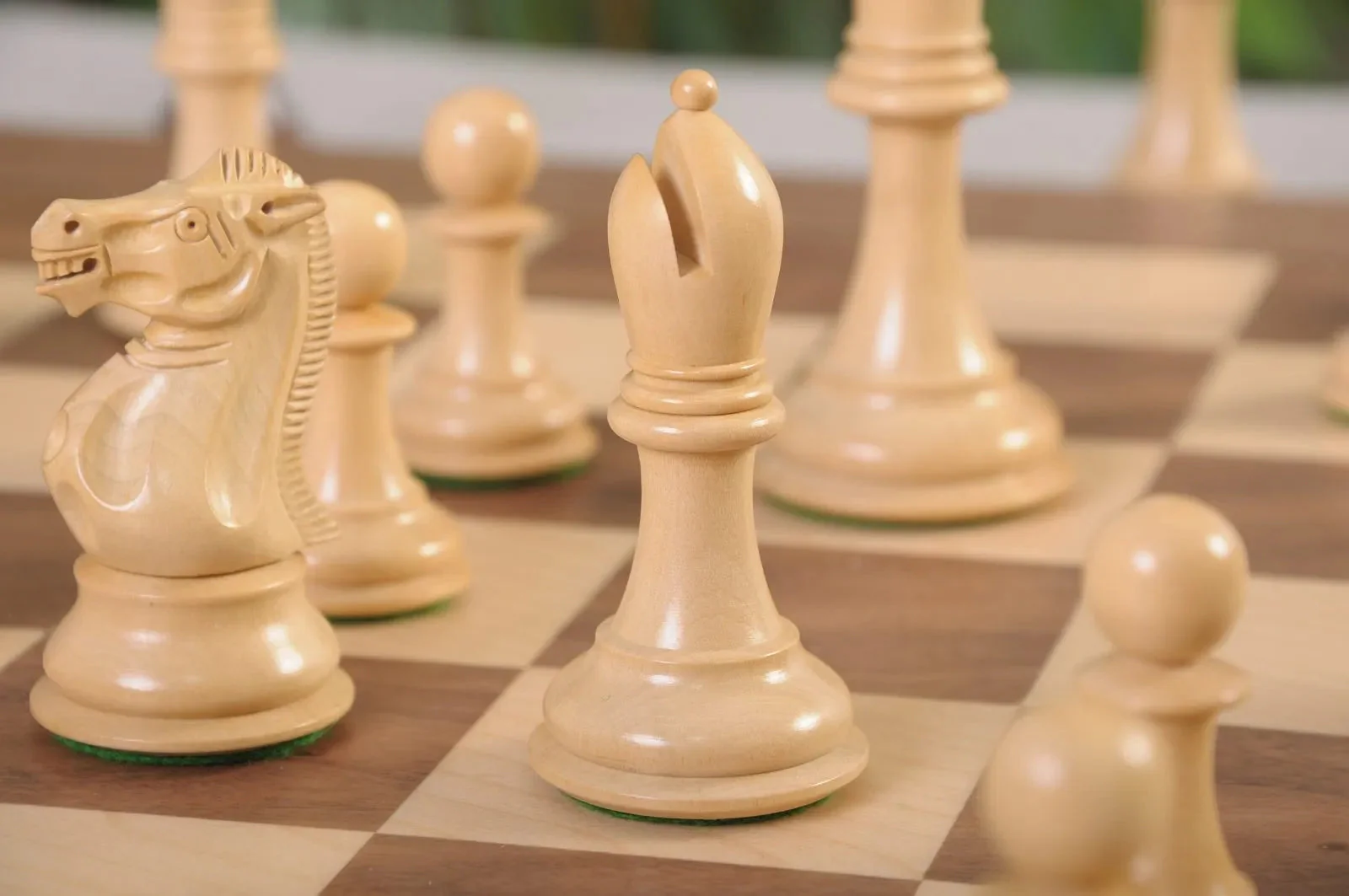 DGT Projects - Indian Rosewood Professional Chess pieces - Image 5