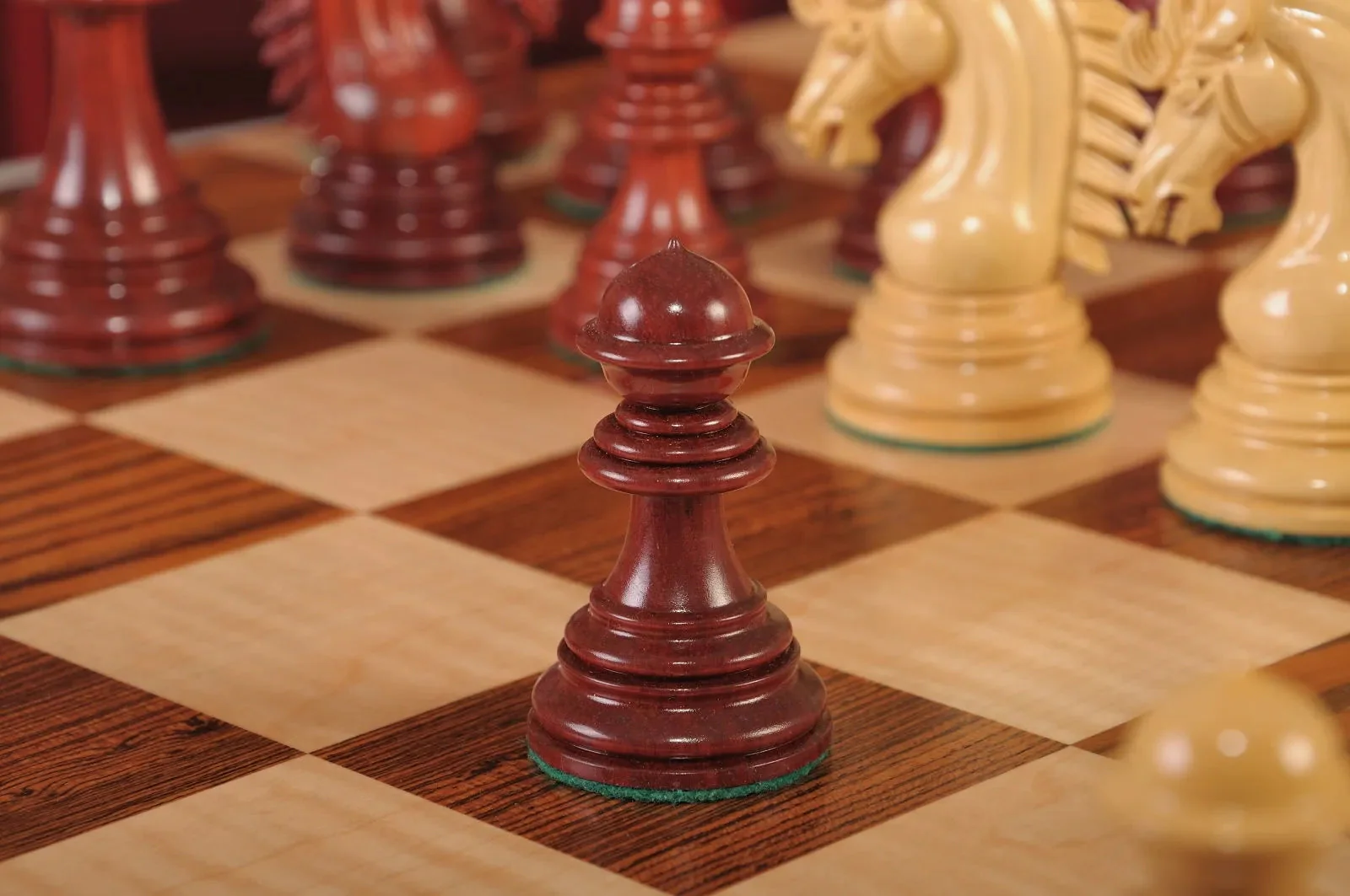 Blood Rosewood and Natural Boxwood - Image 7