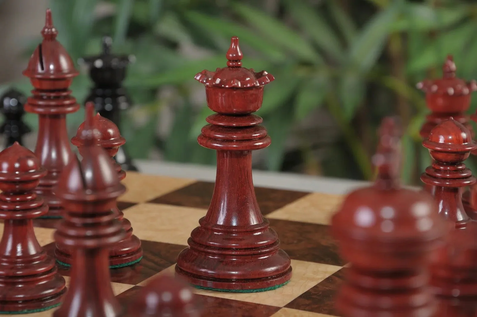 Blood Rosewood and Genuine Ebony - Image 5