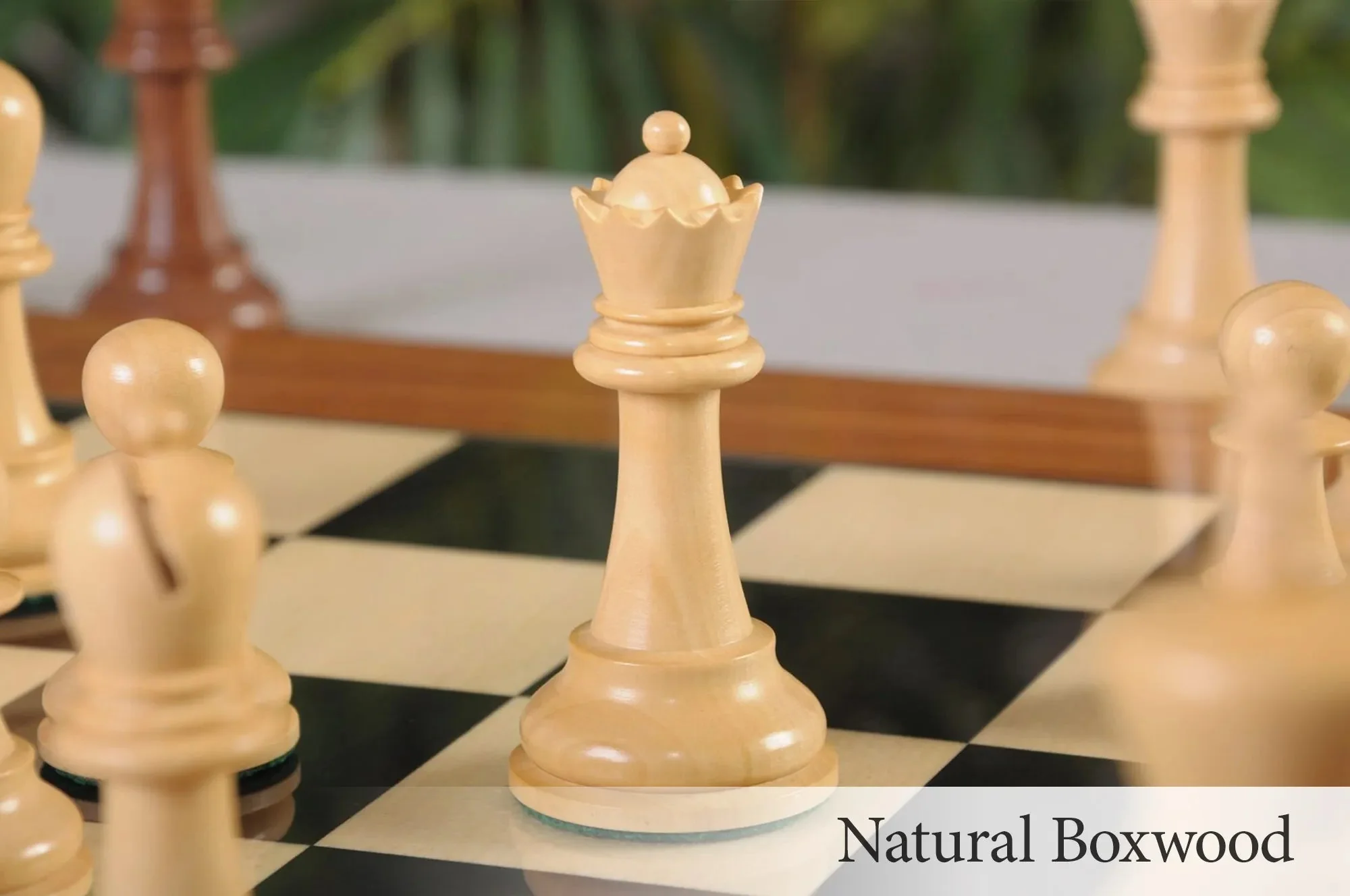 Anjan and Natural Boxwood - Image 7