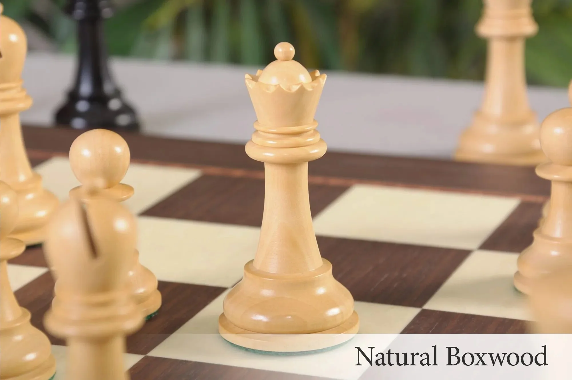 Ebonized Boxwood and Natural Boxwood - Image 6