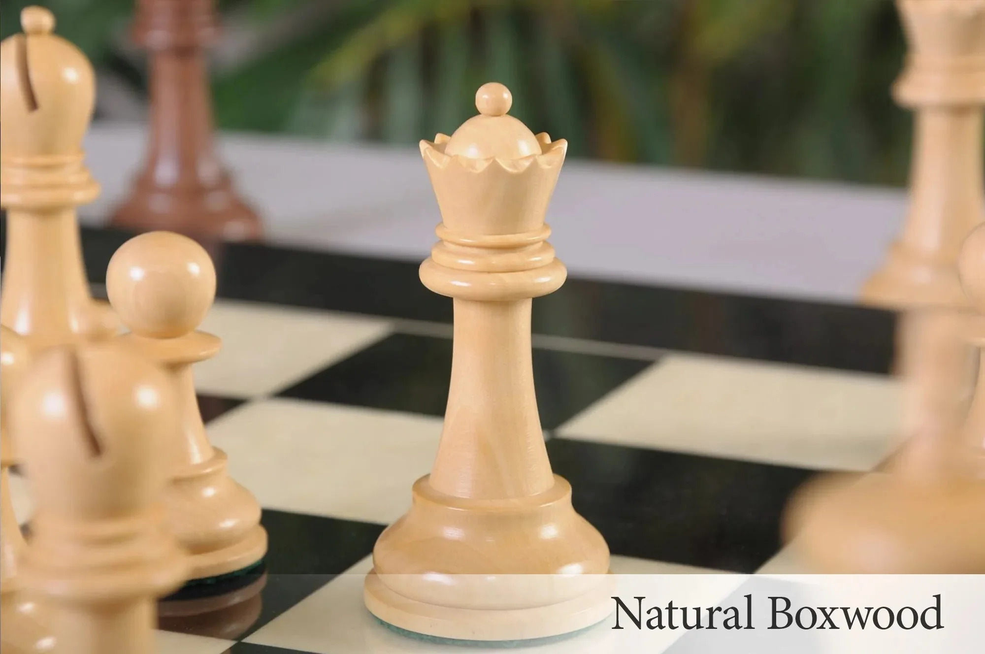 Golden Rosewood and Natural Boxwood - Image 9