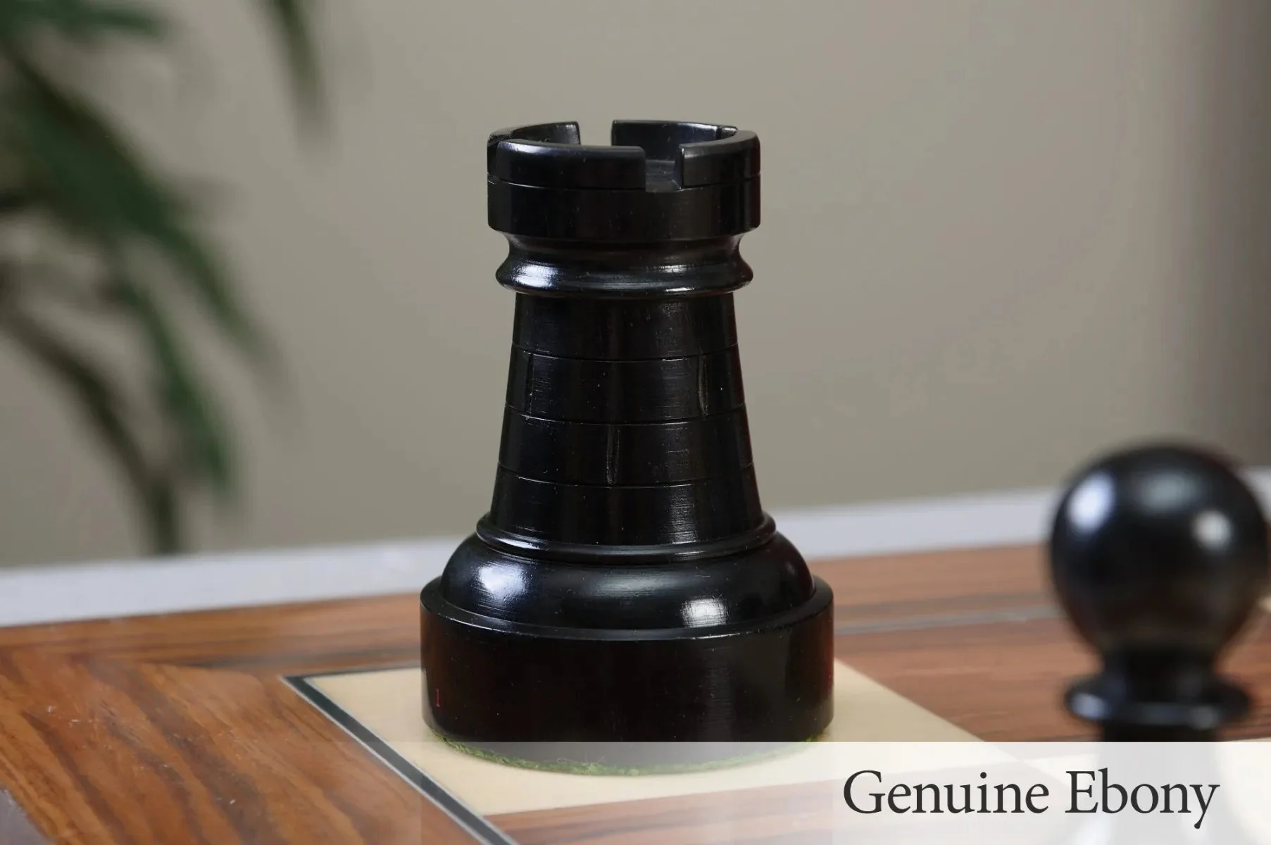 Genuine Ebony and Natural Boxwood - Image 13