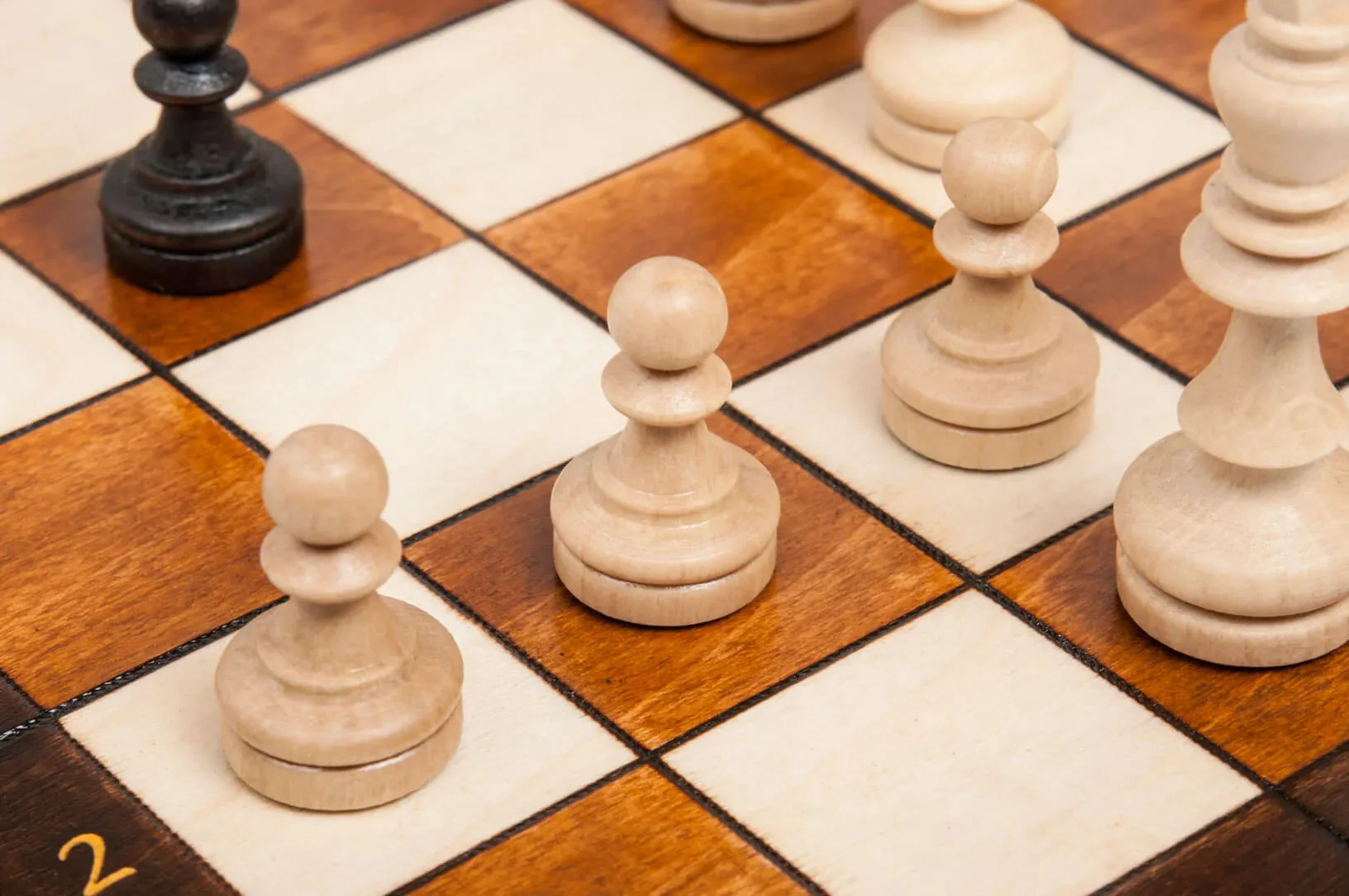 The Brown Magnetic Chess Set - Image 4