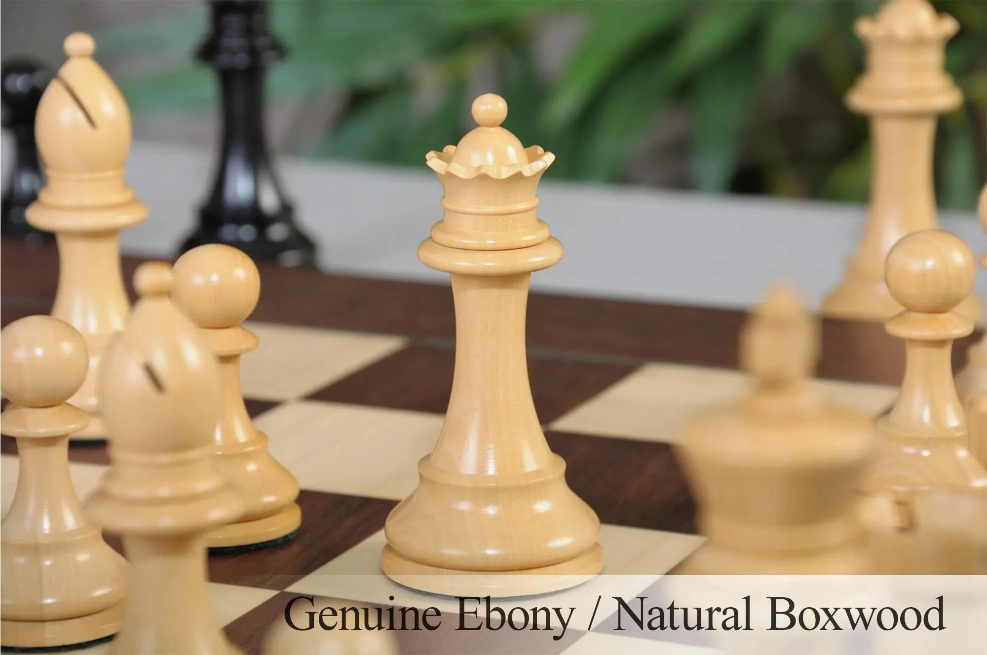 Genuine Ebony and Natural Boxwood - Image 5