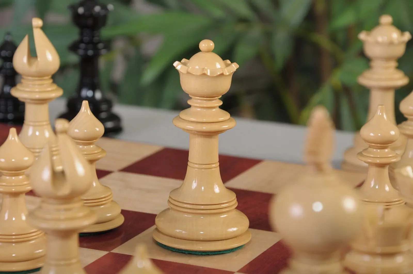Genuine Ebony and Natural Boxwood - Image 3