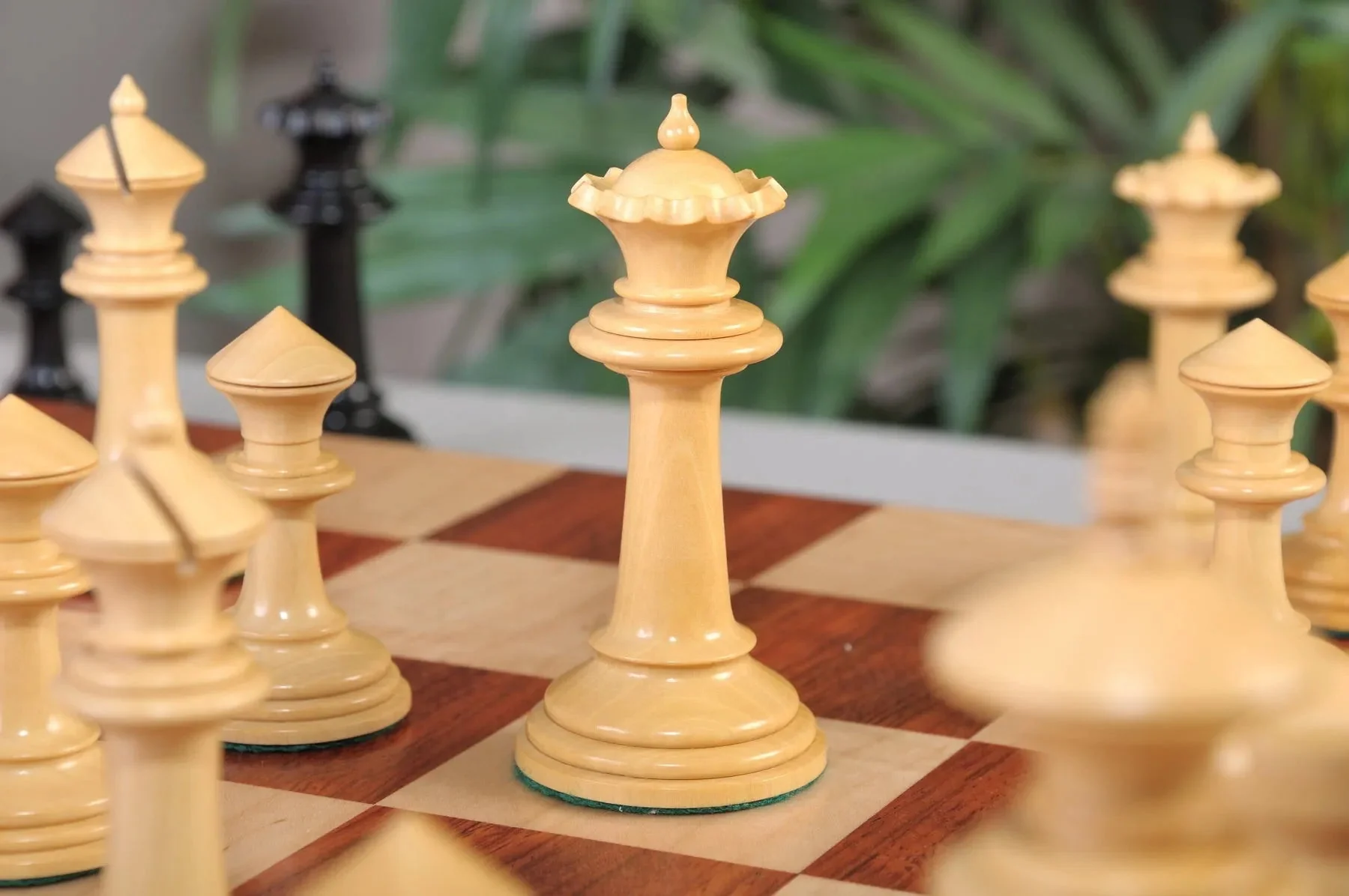 Genuine Ebony and Natural Boxwood - Image 4