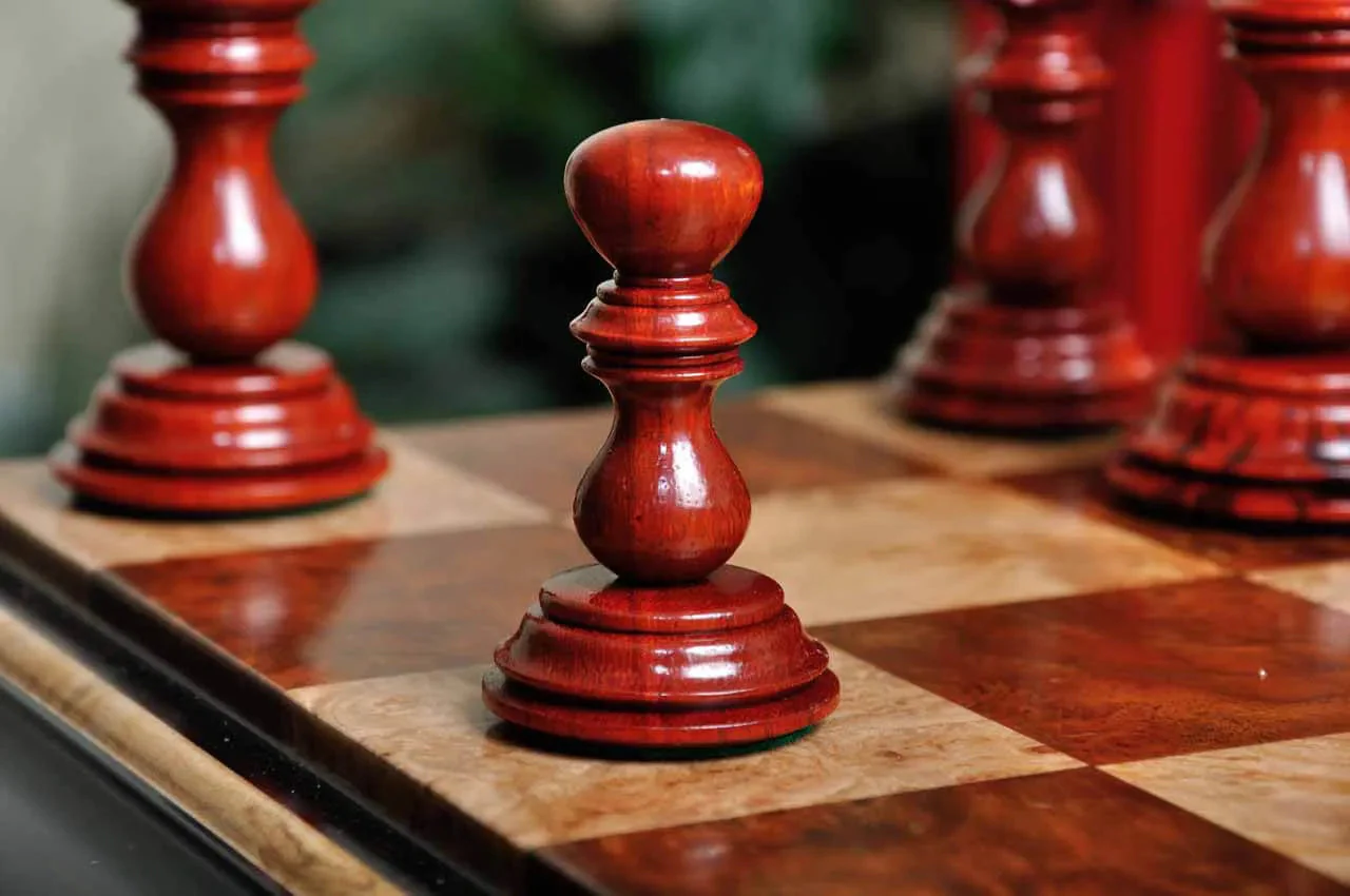 Blood Rosewood and Natural Boxwood - Image 13