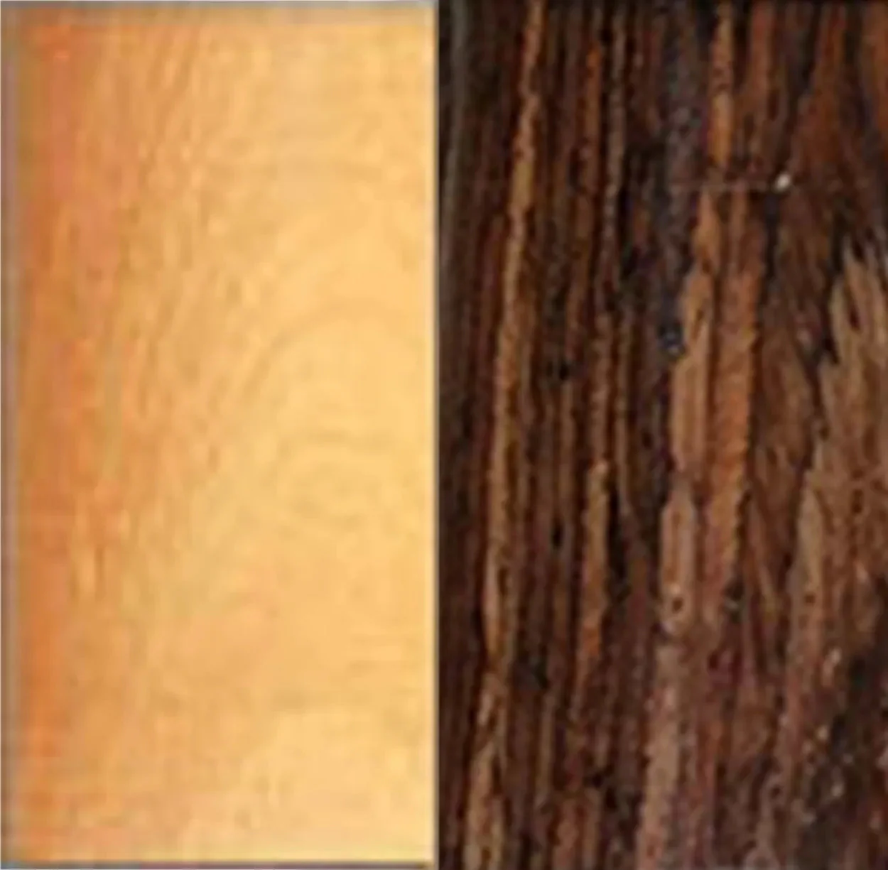 Burmese Blackwood and Natural Boxwood - Image 10