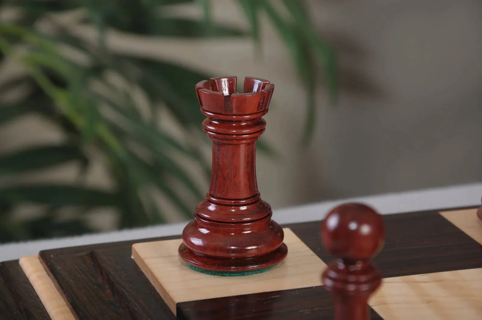 Blood Rosewood and Natural Boxwood - Image 10