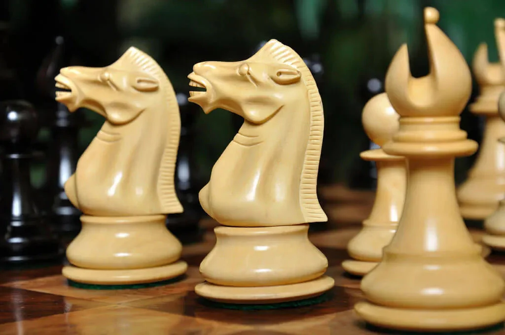 Genuine Ebony and Natural Boxwood - Image 11