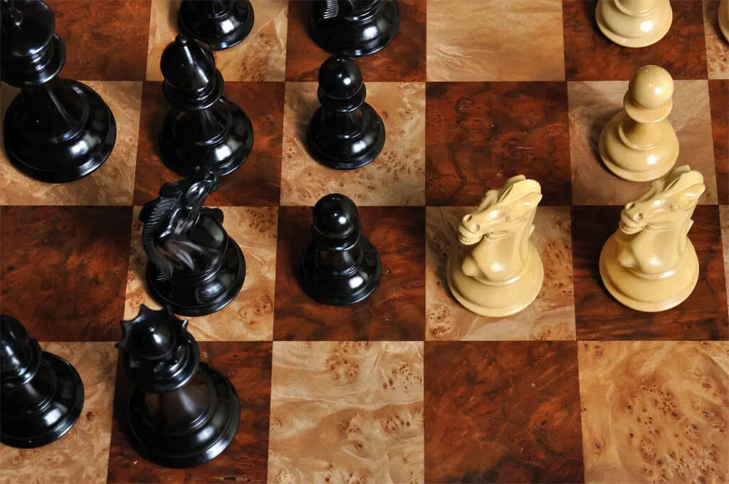 Genuine Ebony and Natural Boxwood - Image 6