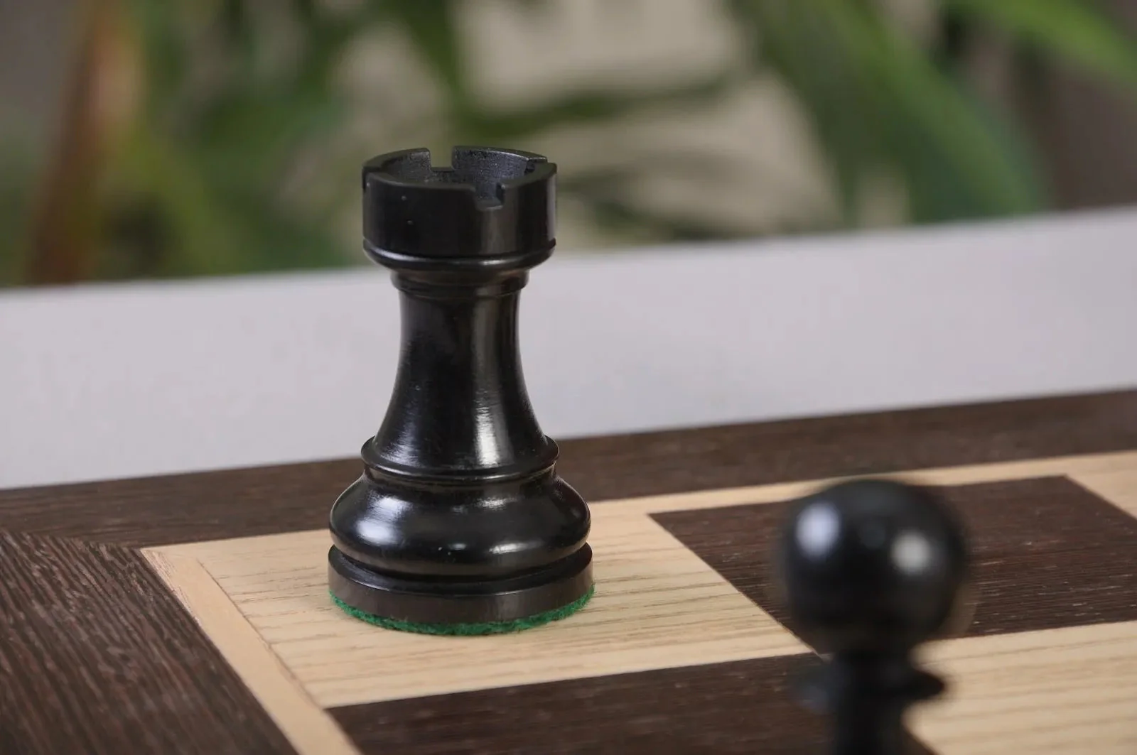 Ebonized Boxwood and Natural Boxwood - Image 9