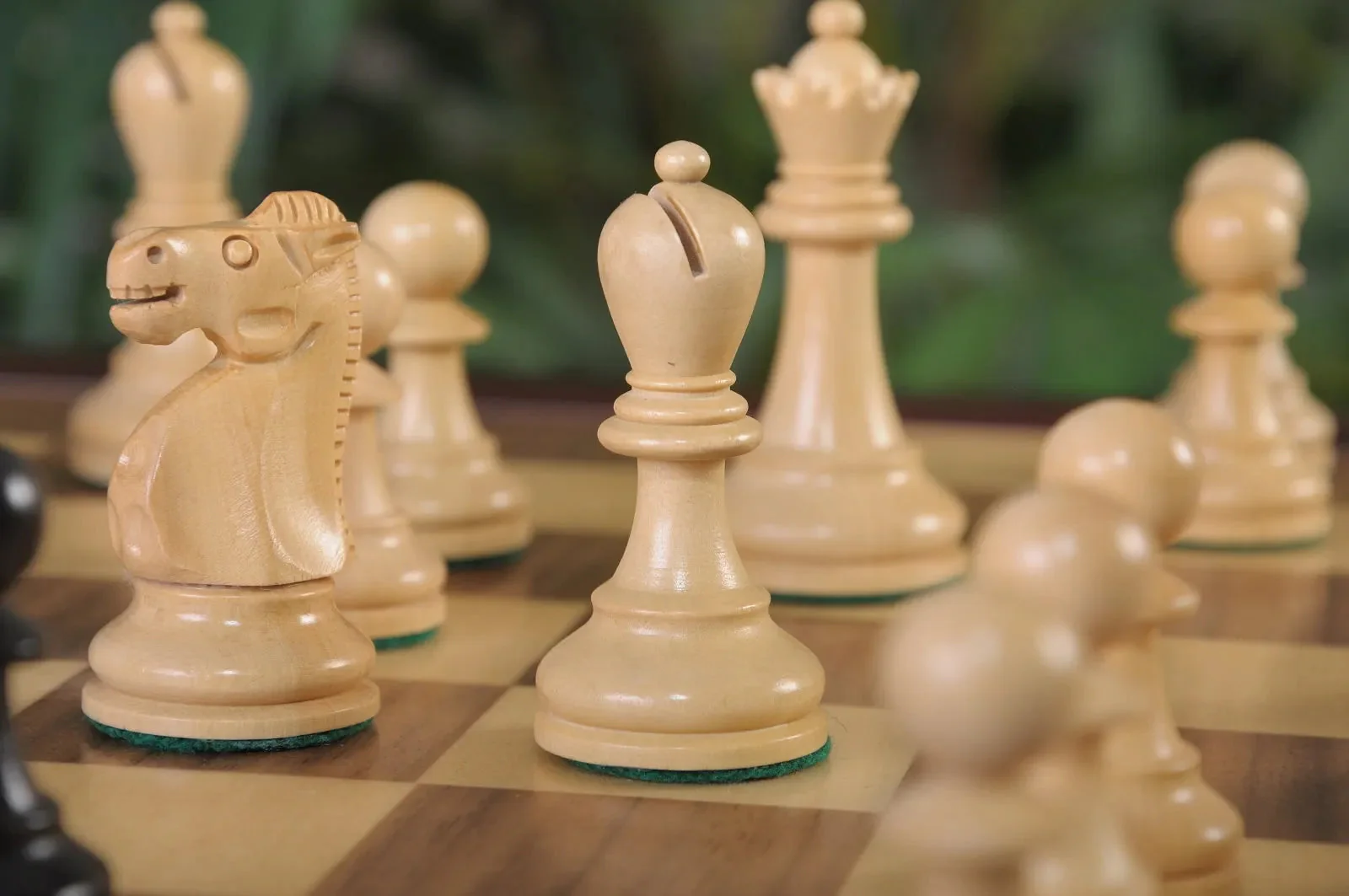 Ebonized Boxwood and Natural Boxwood - Image 5