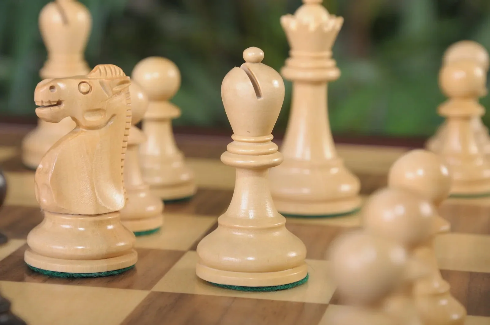 Natural Boxwood and Genuine Ebony - Image 5