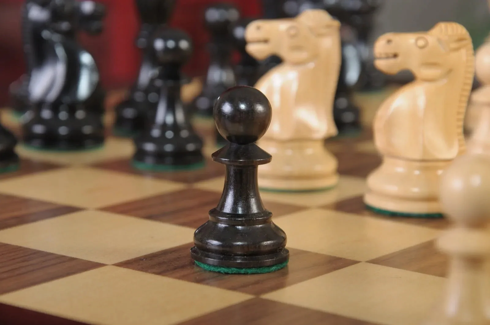Natural Boxwood and Genuine Ebony - Image 6