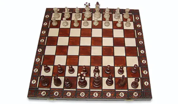 The Brown Senator Chess Set - Image 2