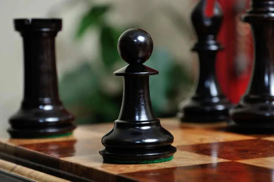 Genuine Ebony and Natural Boxwood - Image 10