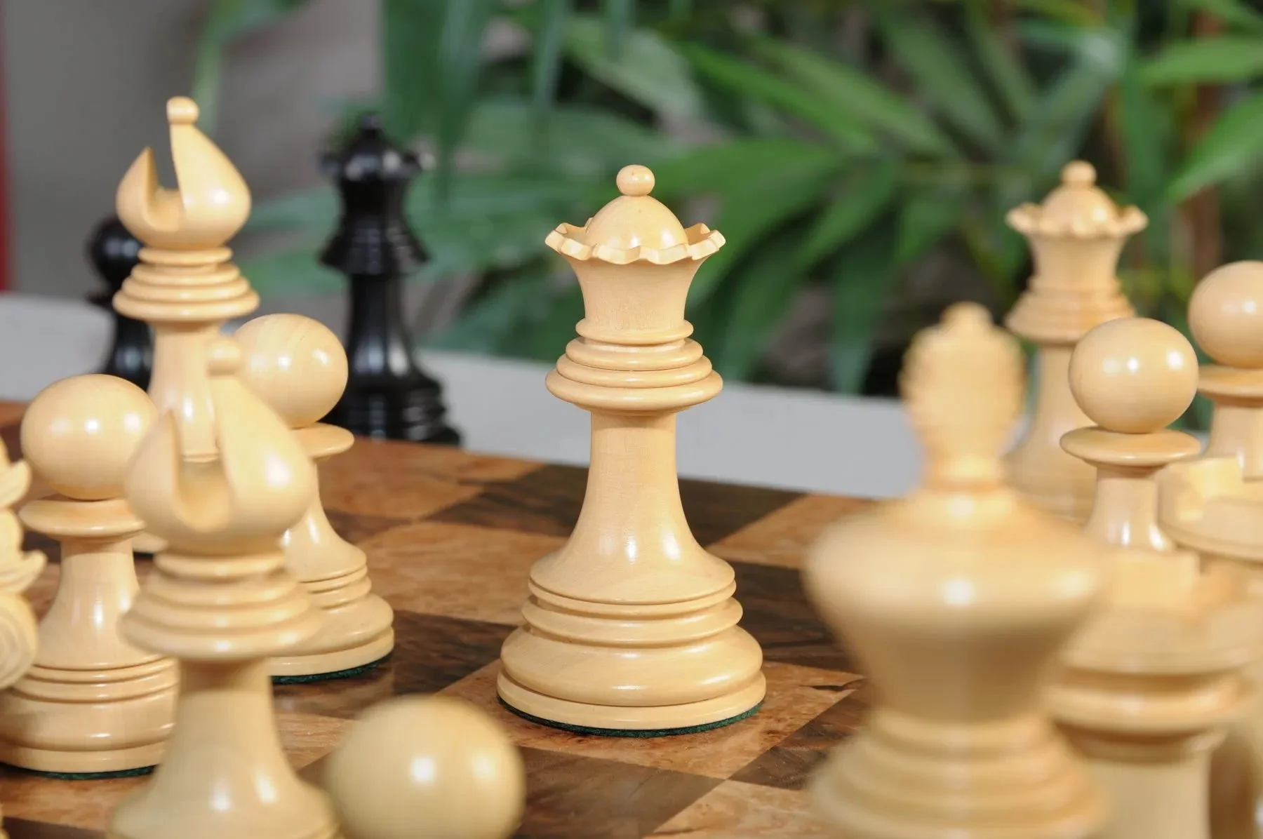 Genuine Ebony and Natural Boxwood - Image 3