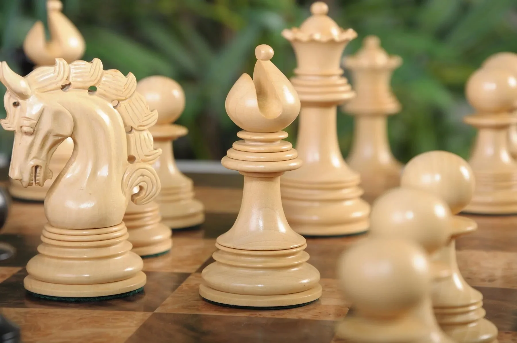 Genuine Ebony and Natural Boxwood - Image 5