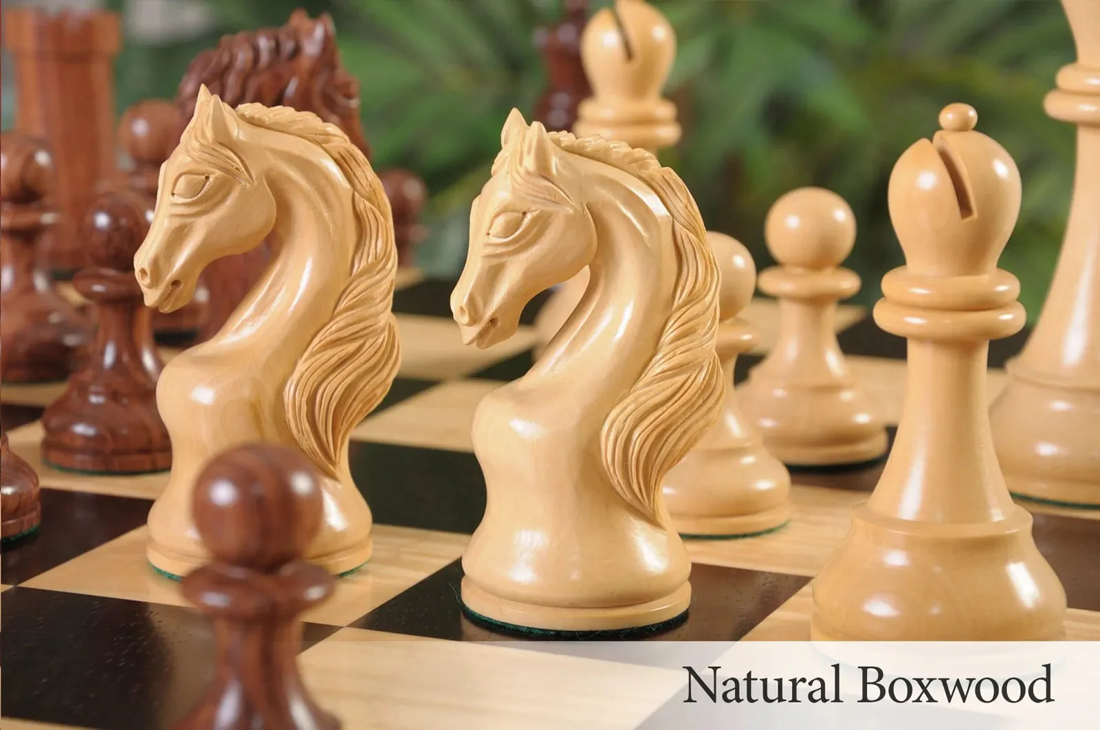 Brown Ebony and Natural Boxwood - Image 6