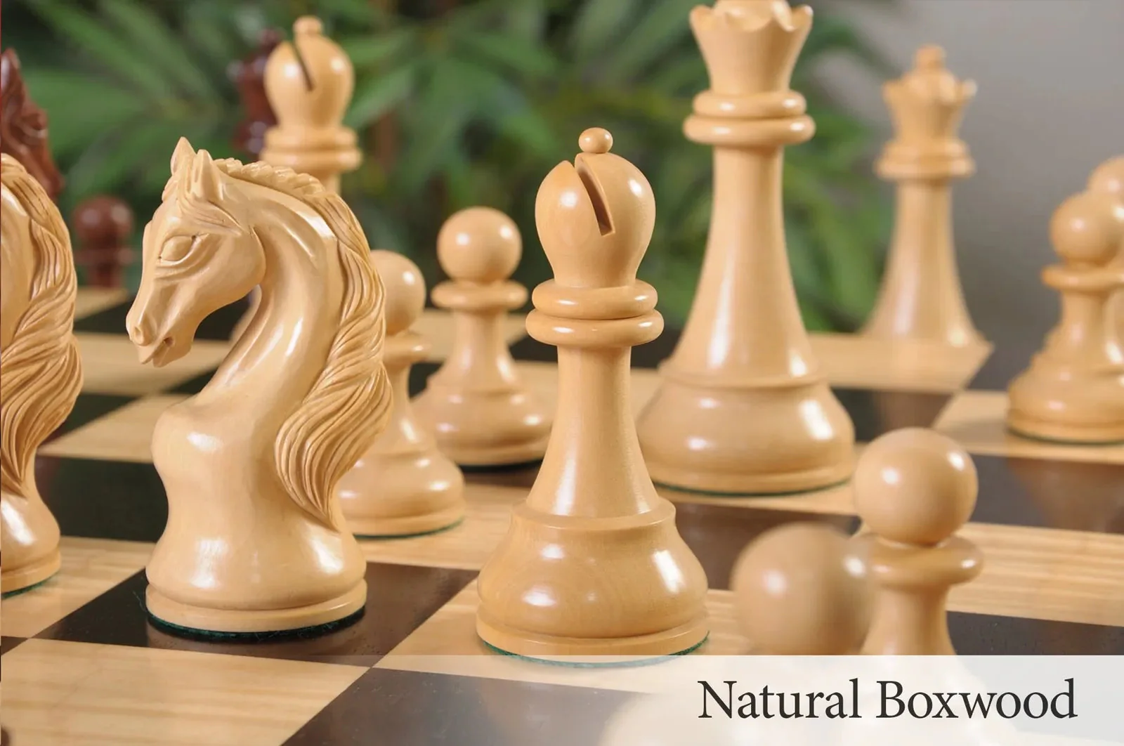 Brown Ebony and Natural Boxwood - Image 7