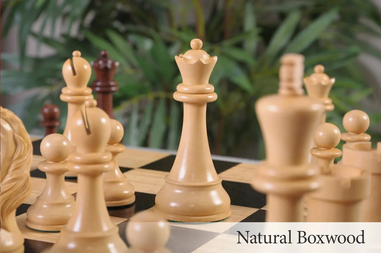 Brown Ebony and Natural Boxwood - Image 8