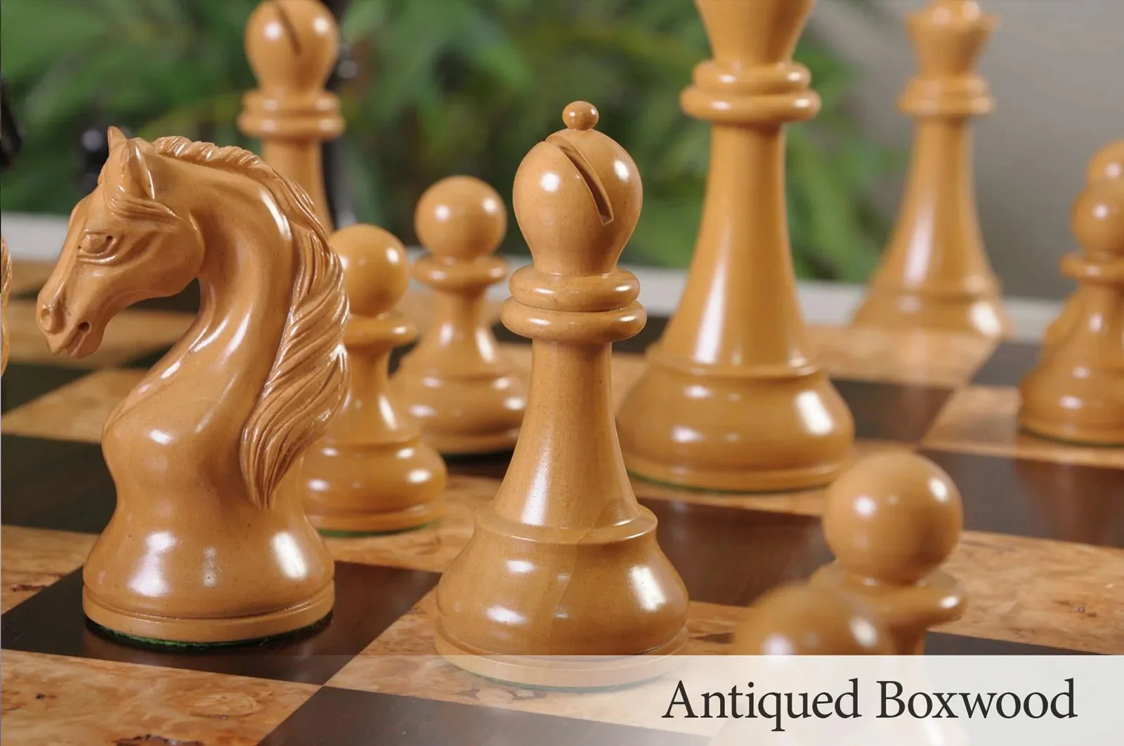 Genuine Ebony and Antiqued Boxwood - Image 6