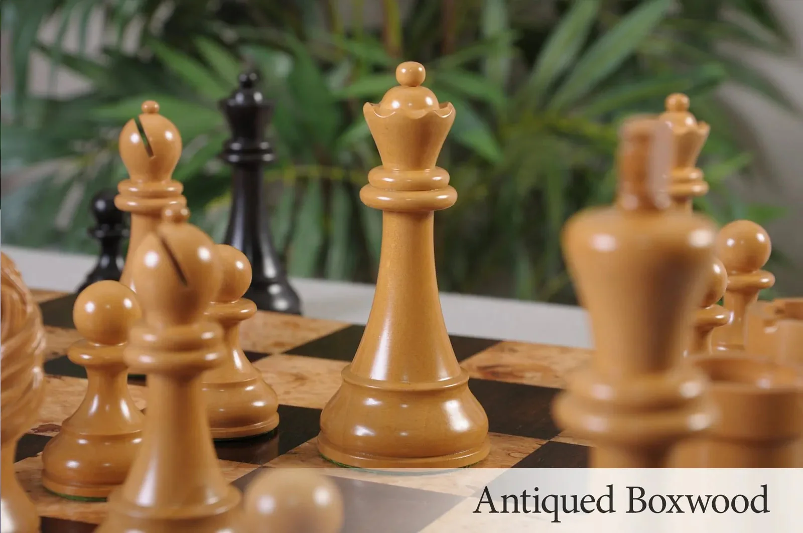Genuine Ebony and Antiqued Boxwood - Image 7