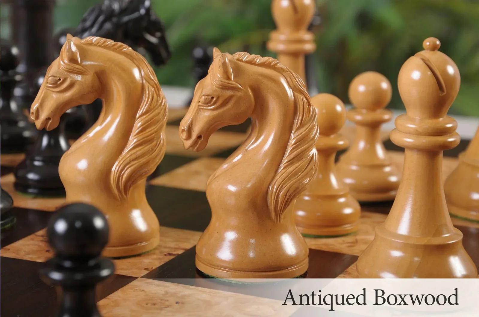 Genuine Ebony and Antiqued Boxwood - Image 9